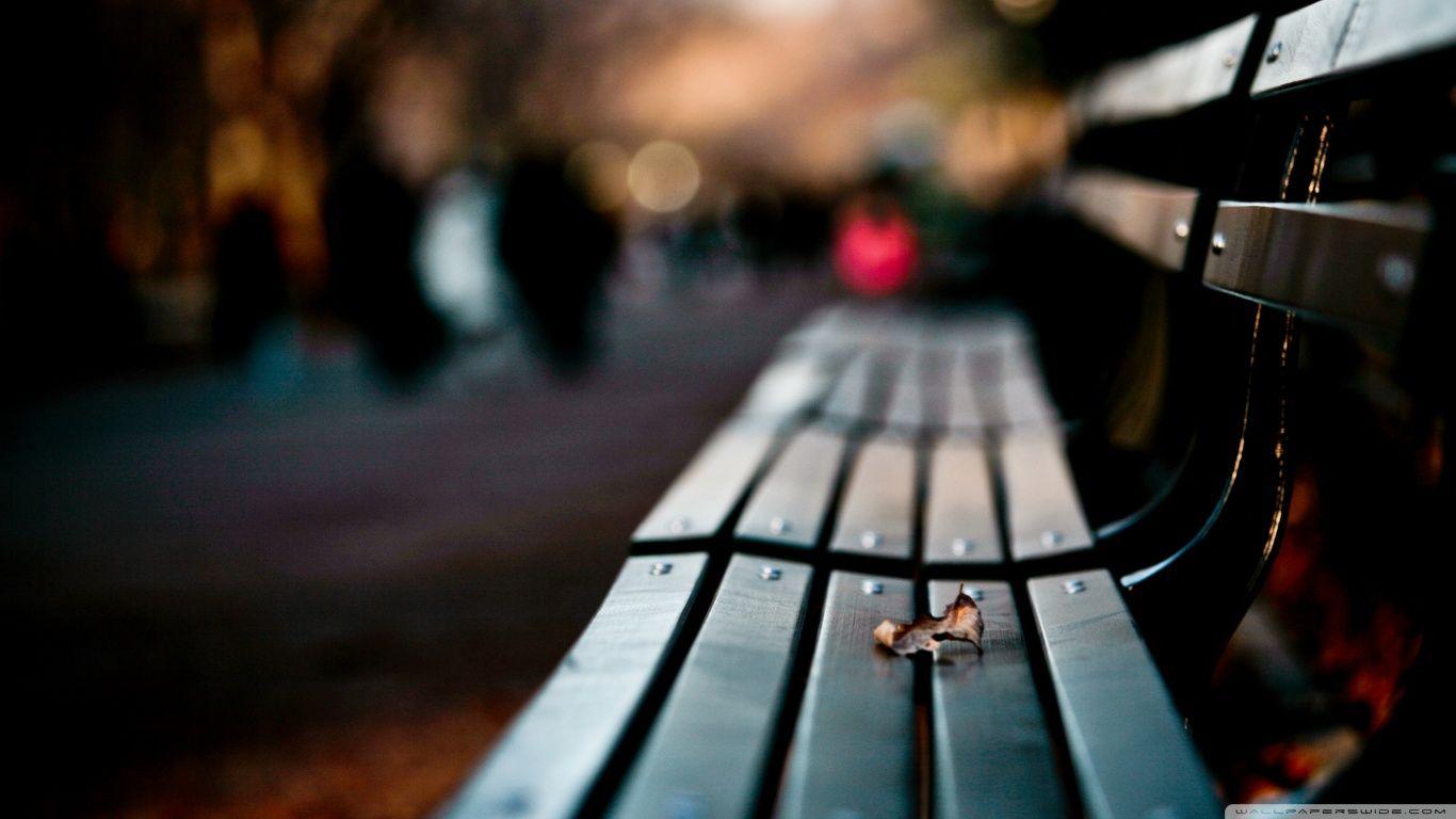 Save My Love For Loneliness HD desktop wallpaper