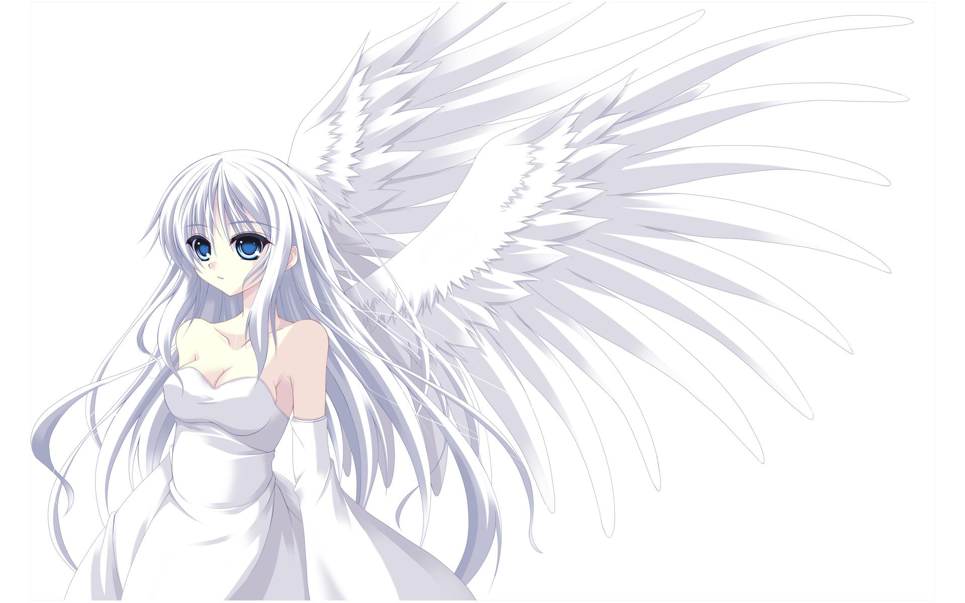 Silver haired angel HD Wallpaper. Background Image
