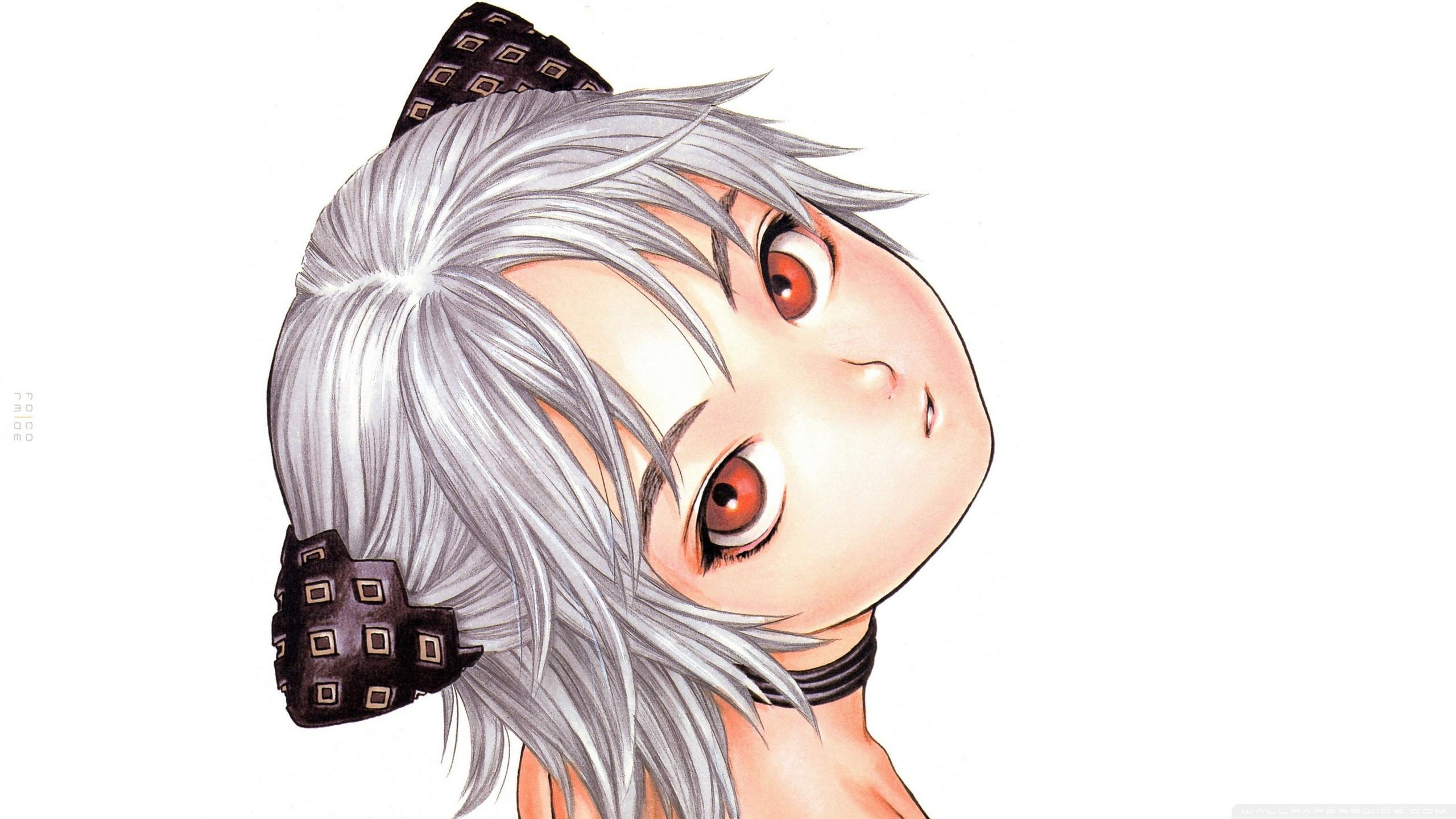 Anime Girl With Silver Hair Ultra HD Desktop Background