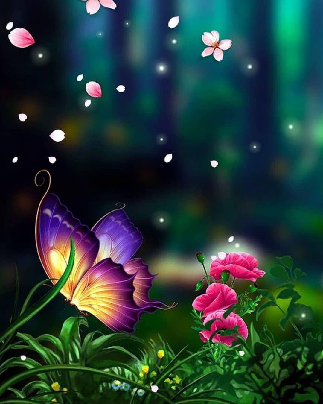 Butterfly Jio Phone Wallpapers - Wallpaper Cave