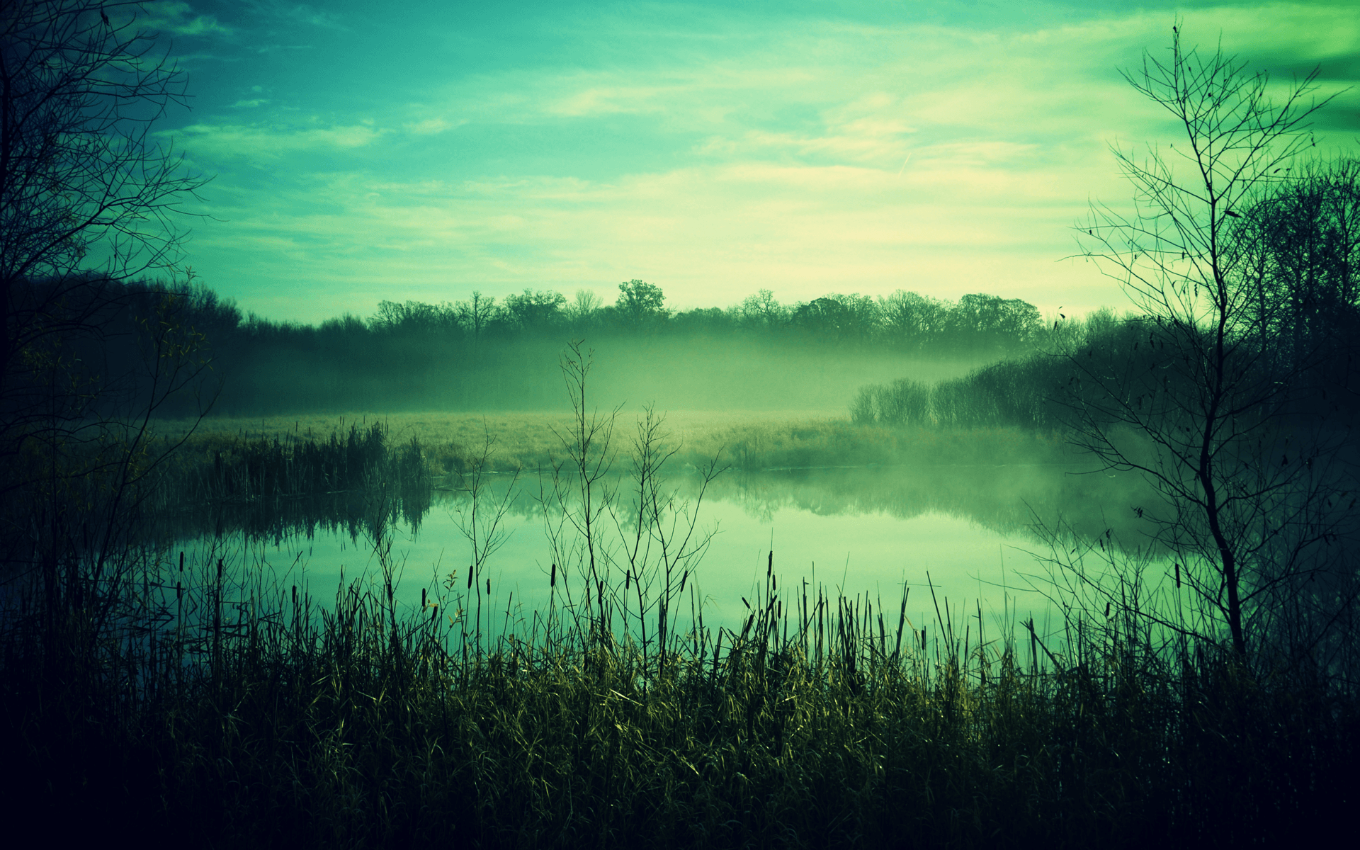 Misty Green Secluded Lake