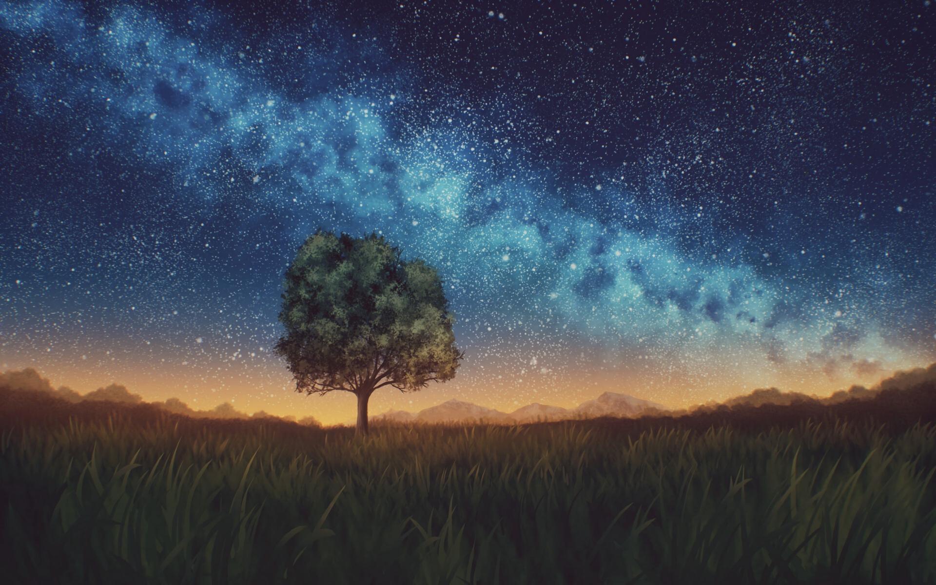 Download wallpaper 1920x1200 lawn, tree, night, starry sky