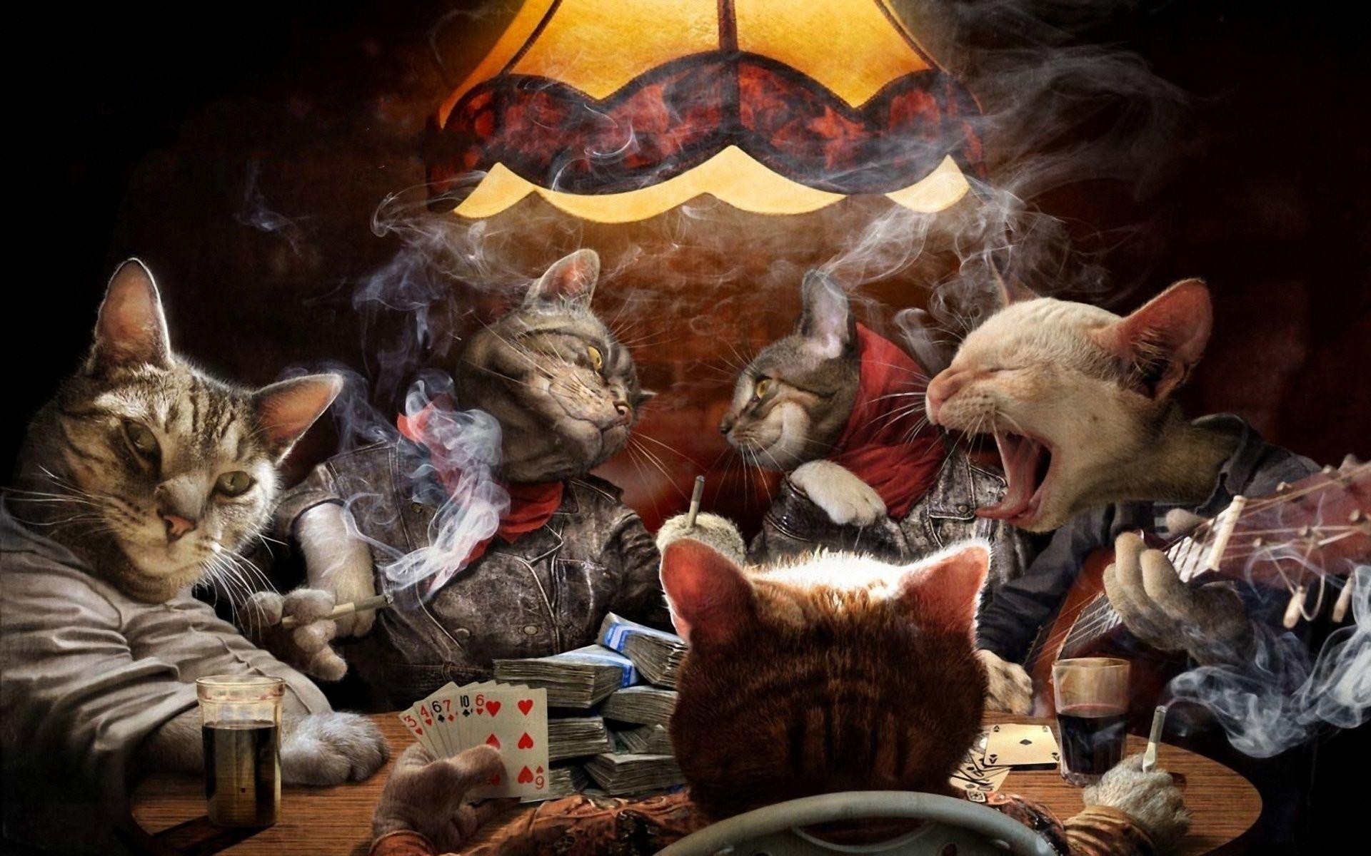 Cats playing Poker. Art, Cats, Funny wallpaper