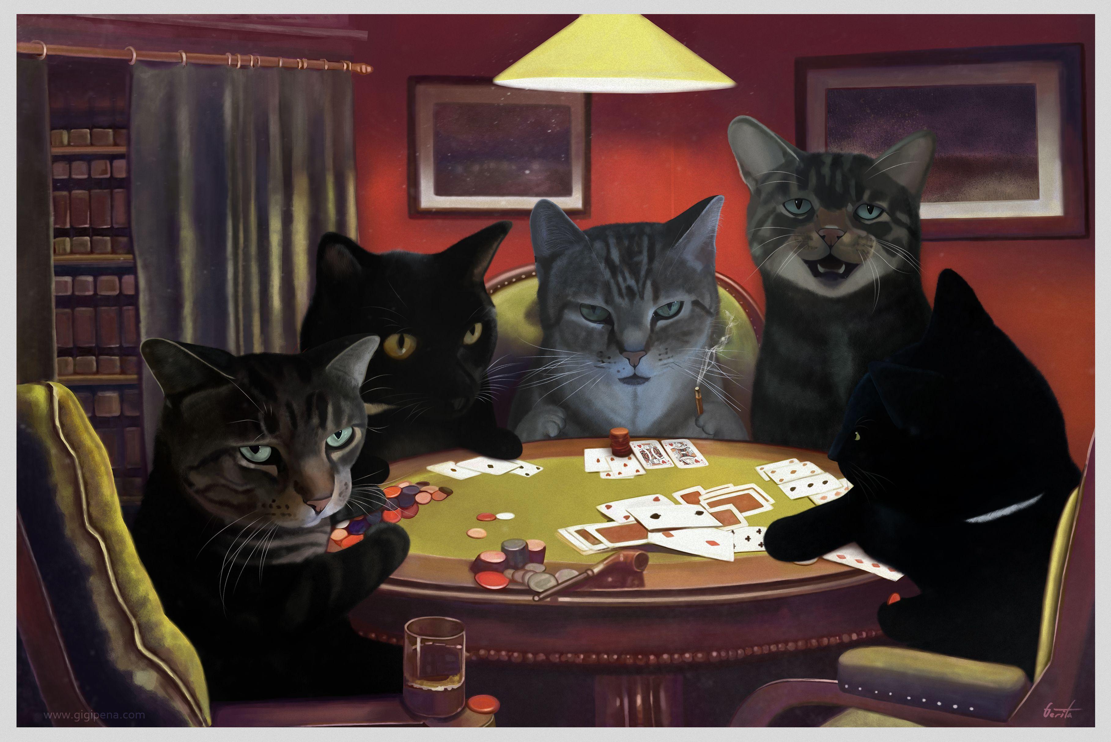 Poker Cats Wallpapers Wallpaper Cave
