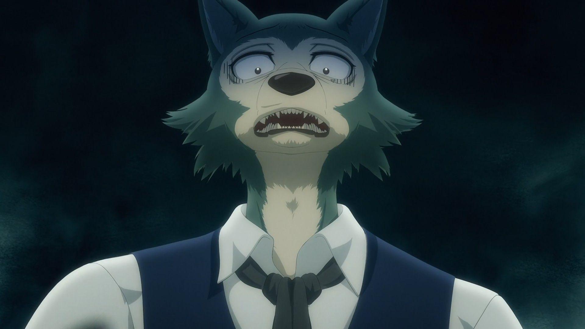 Beastars 4k Computer Wallpapers Wallpaper Cave Beastars 4k Computer Wallpapers Wallpaper Cave