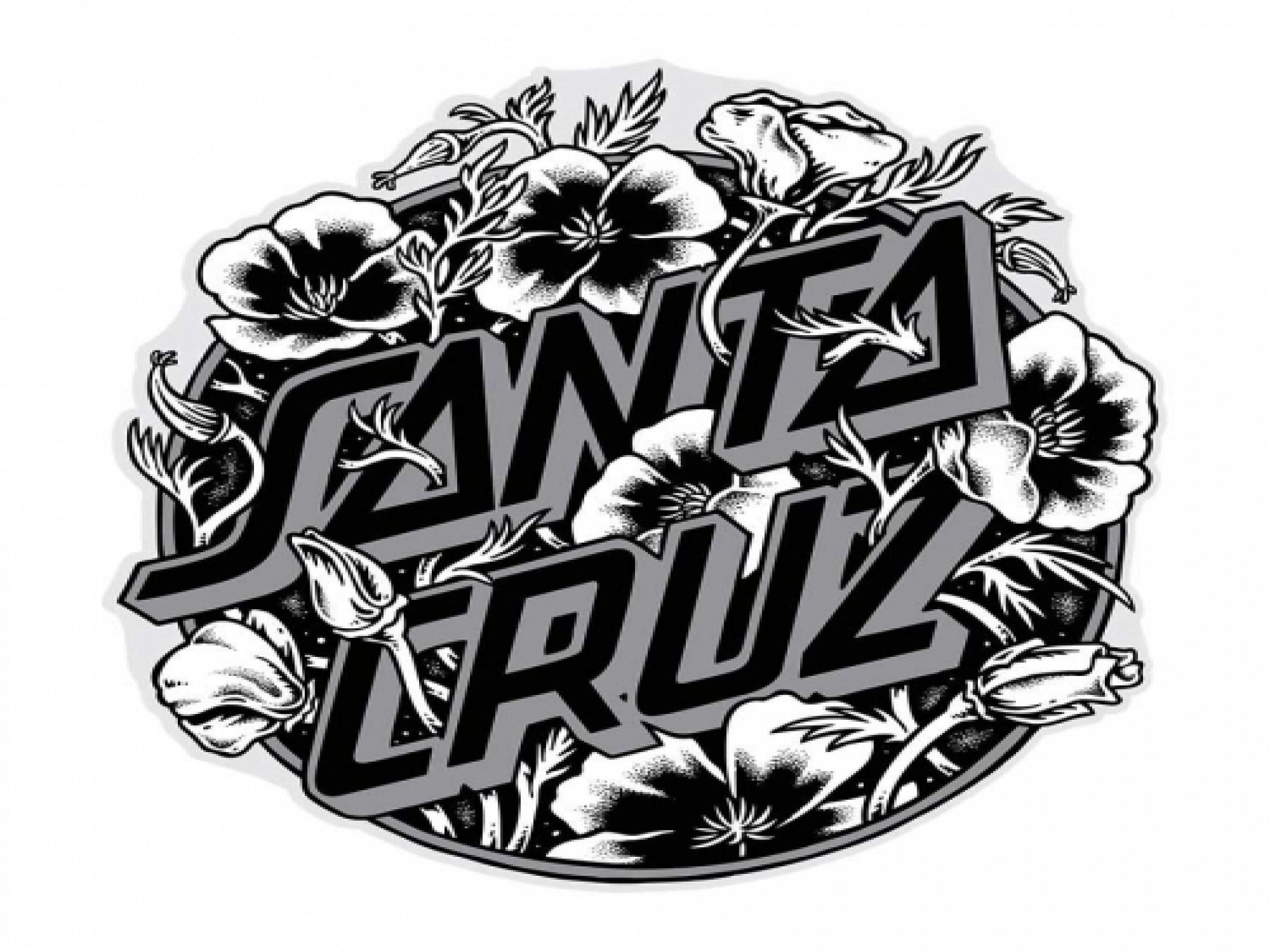 Santa Cruz Wallpaper Free Santa Cruz Background