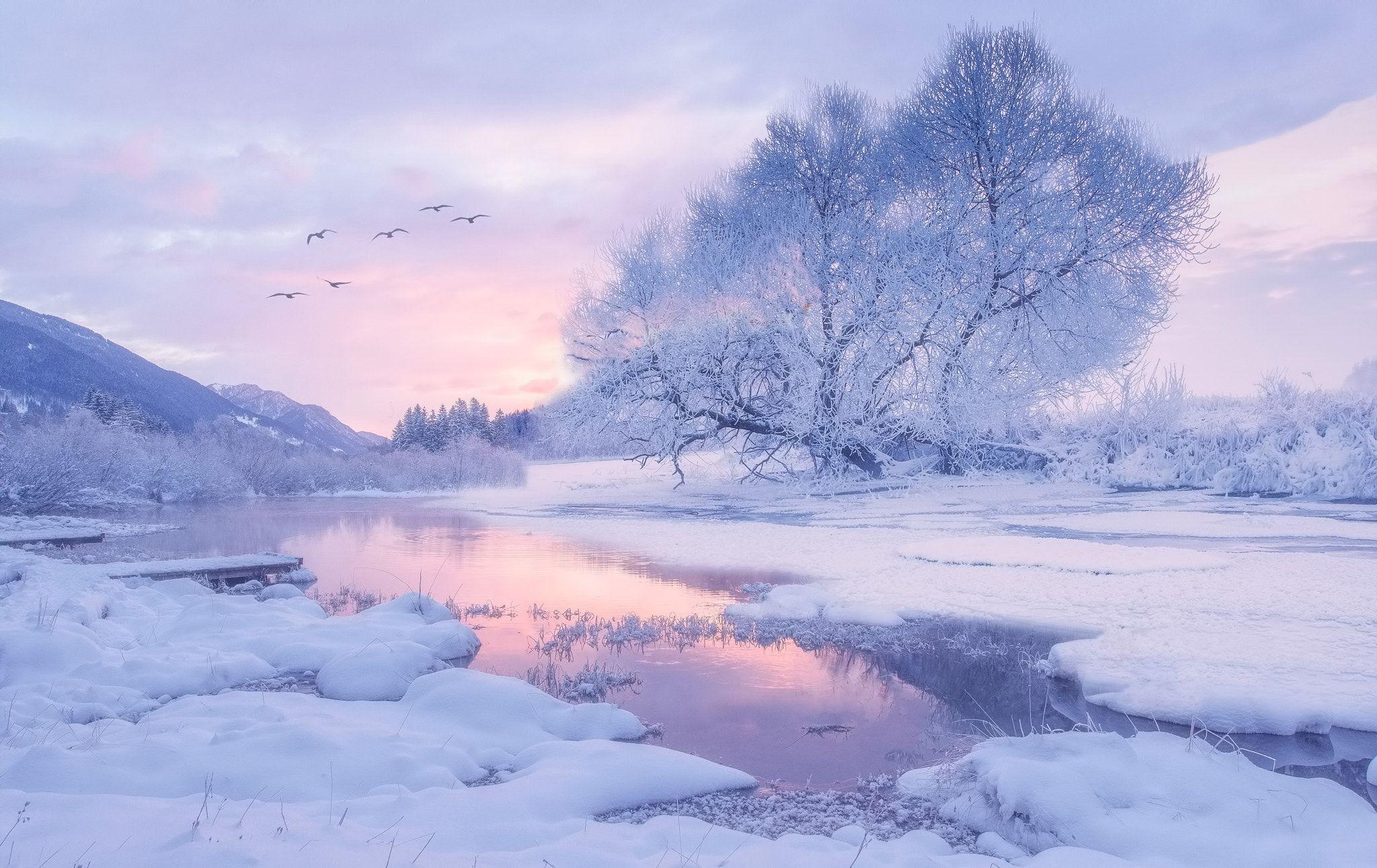 Magical Winter Dream Landscape Composition