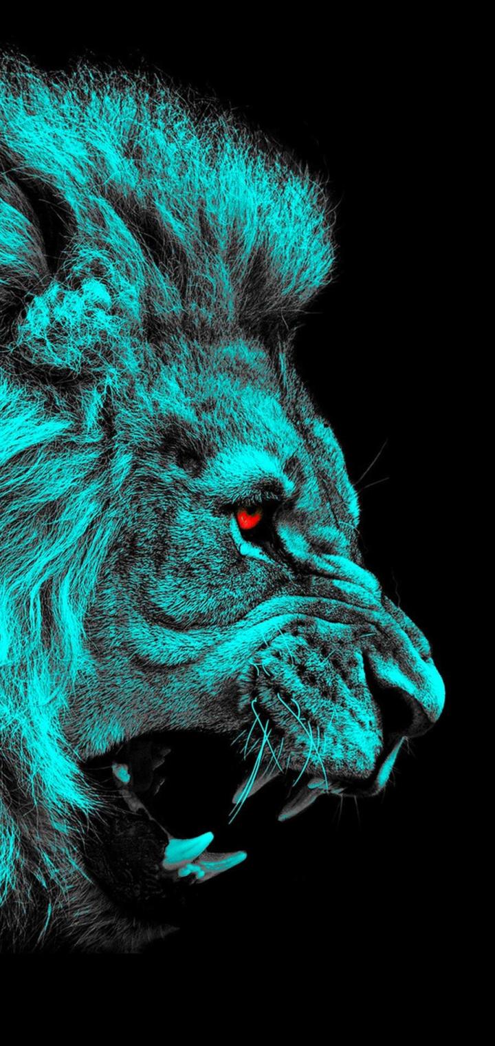 Animal Lion (720x1520) Wallpaper