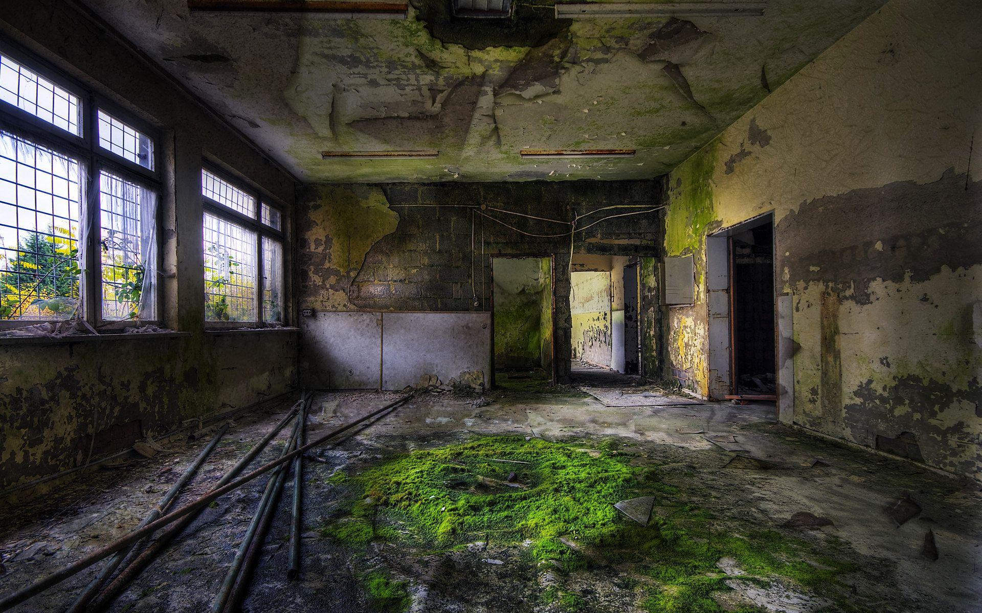 abandoned building, moss, Pipe wallpaper desktop