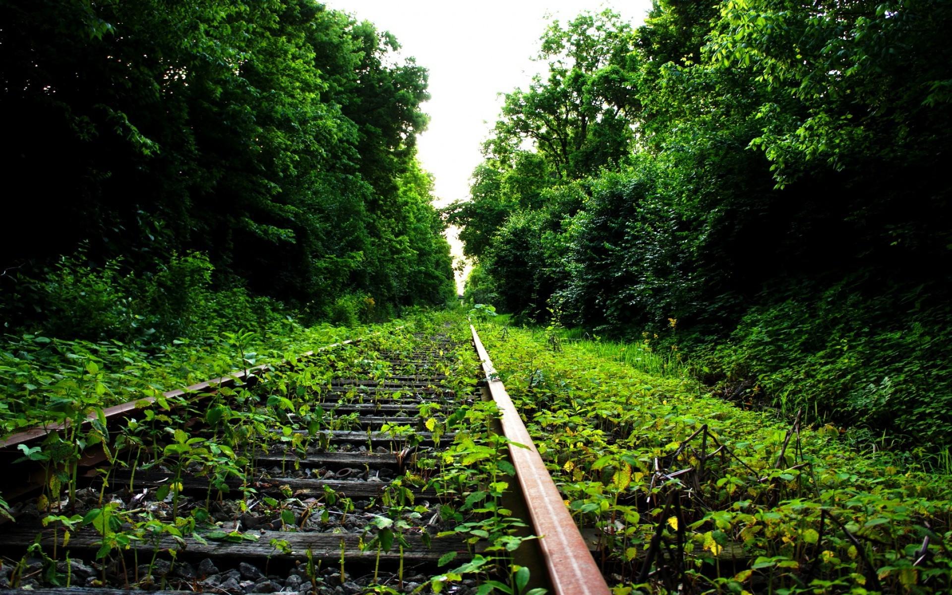 nature, Railway, Abandoned Wallpaper HD / Desktop