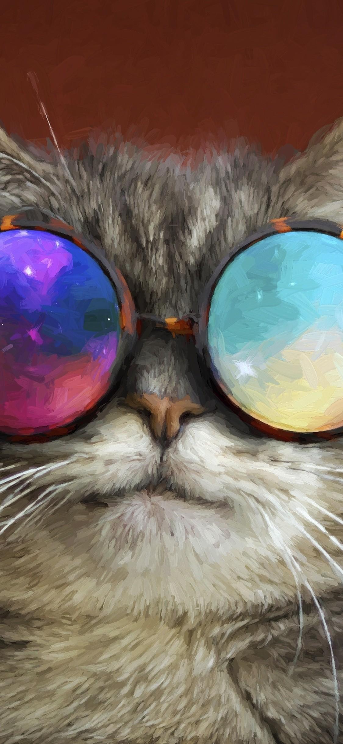 Phone Cat  Sunglasses  Space Wallpapers  Wallpaper  Cave