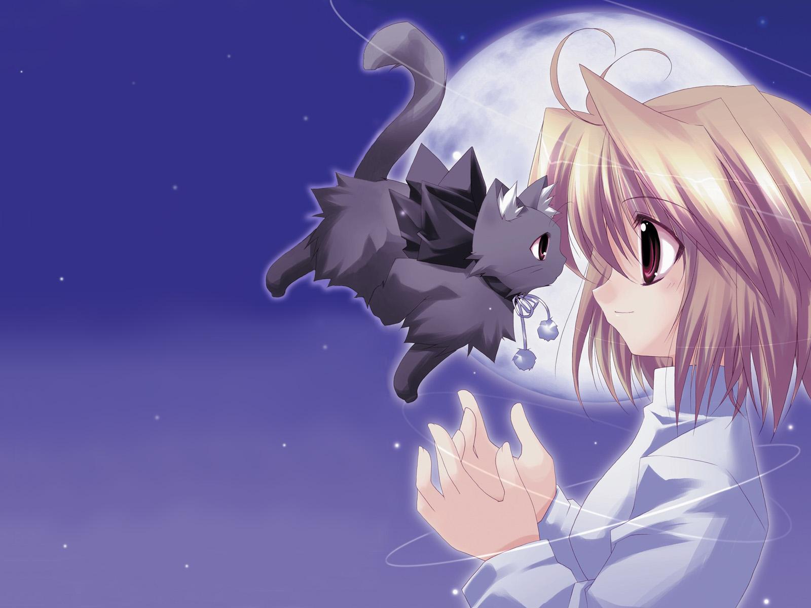 Cute Anime Girl With Fairy Cat Wallpaper Cat