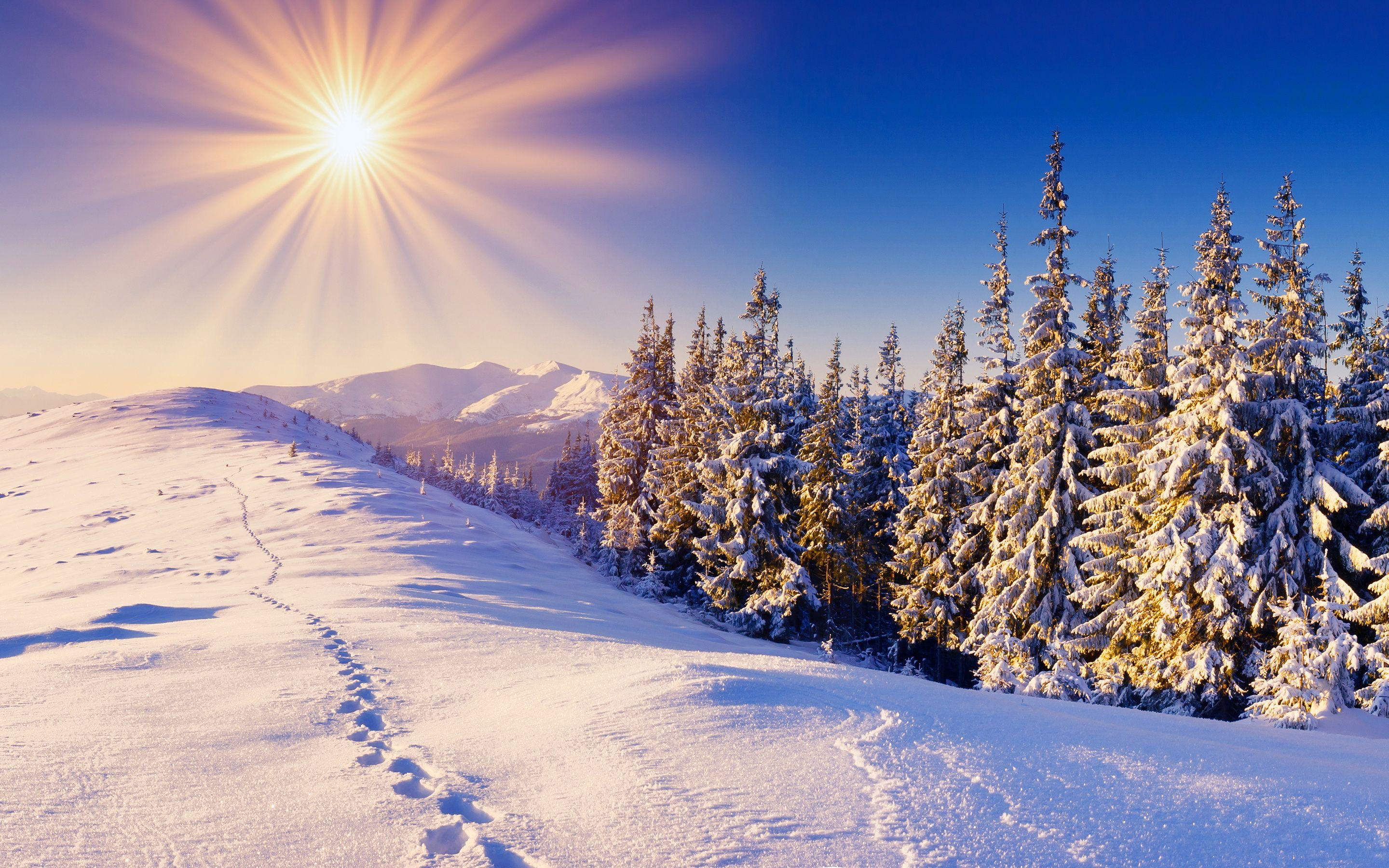 solar #winter #sun #snow. Winter wallpaper, Winter