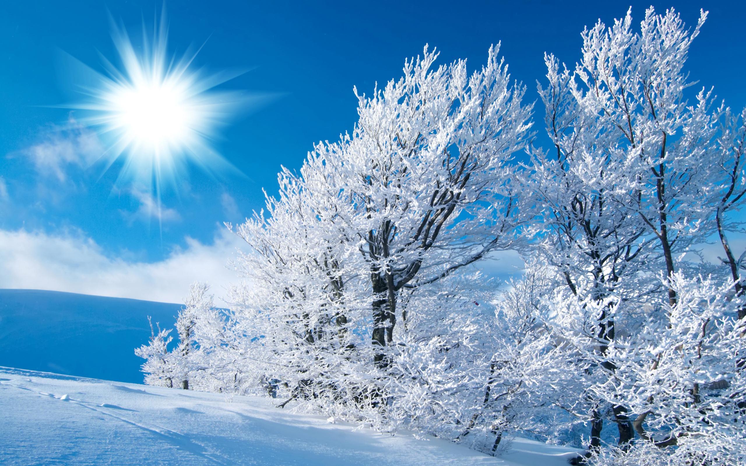 Sunshine and Snow Wallpaper