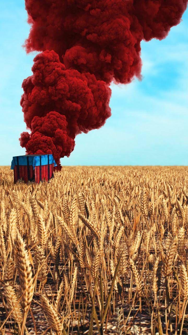 K 1, 2 소총은 예비군용으로 돌리고 K2C로 대체 하는 것이