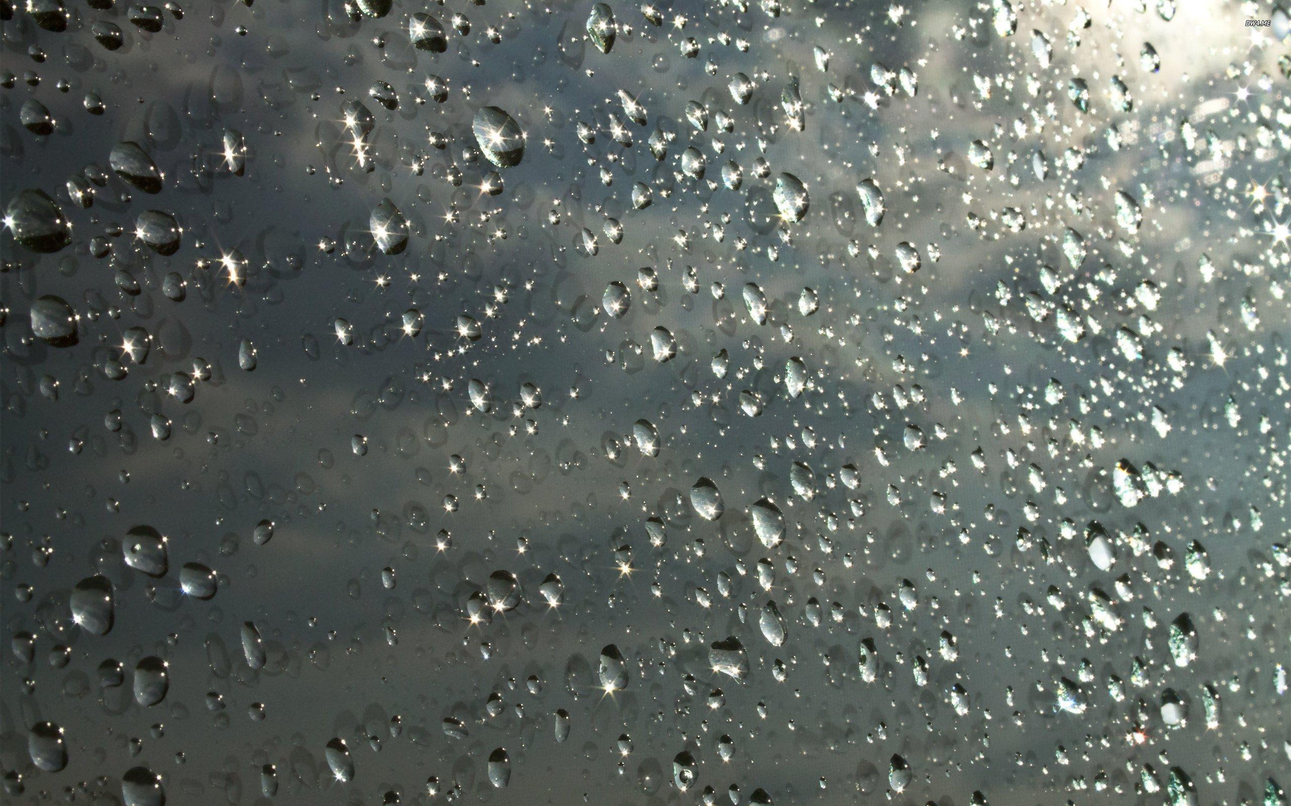 Raindrops Wallpaper HD Wallpaper