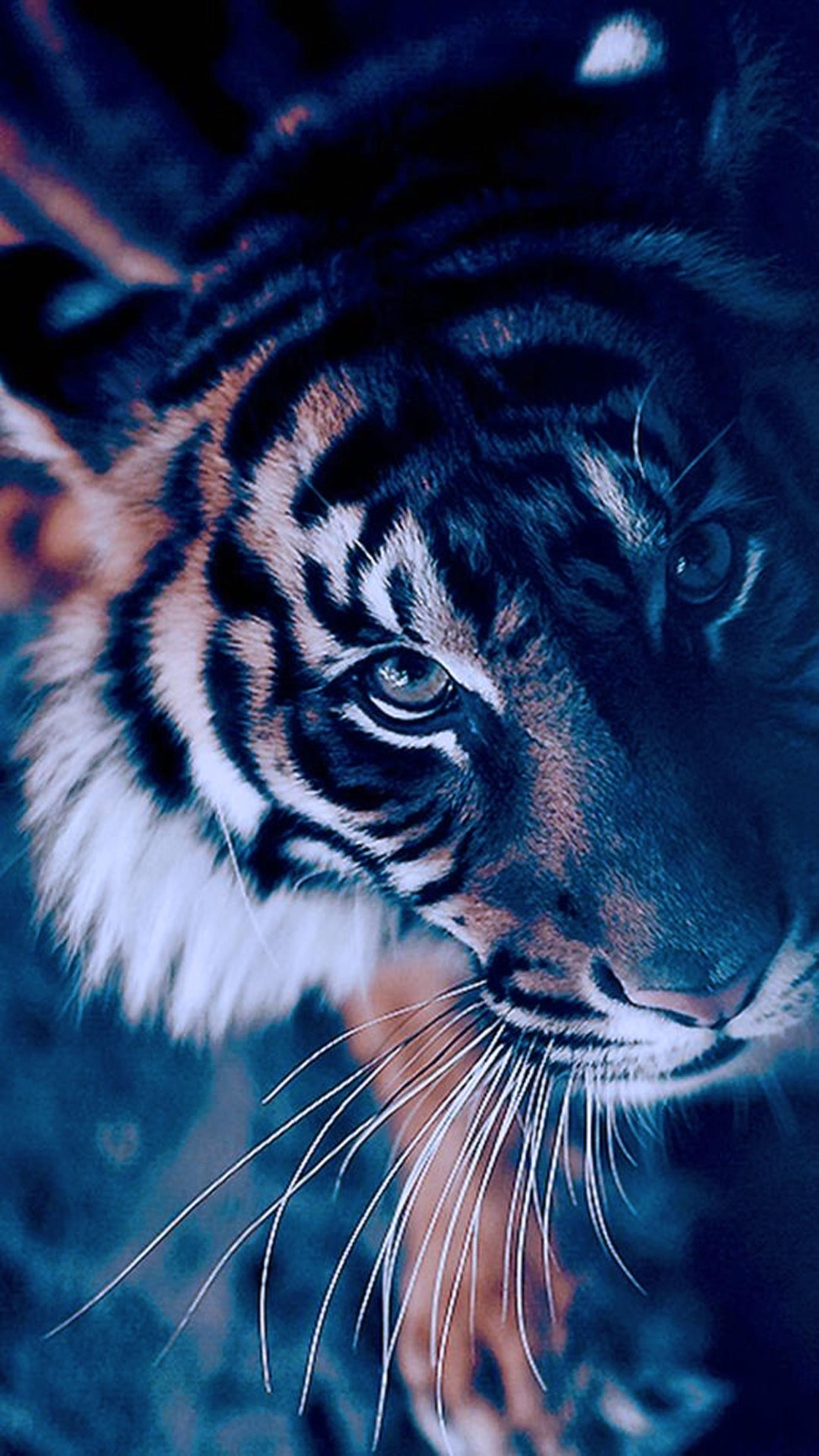 Download Gambar Harimau | Tiger wallpaper, Tiger face, Tiger images