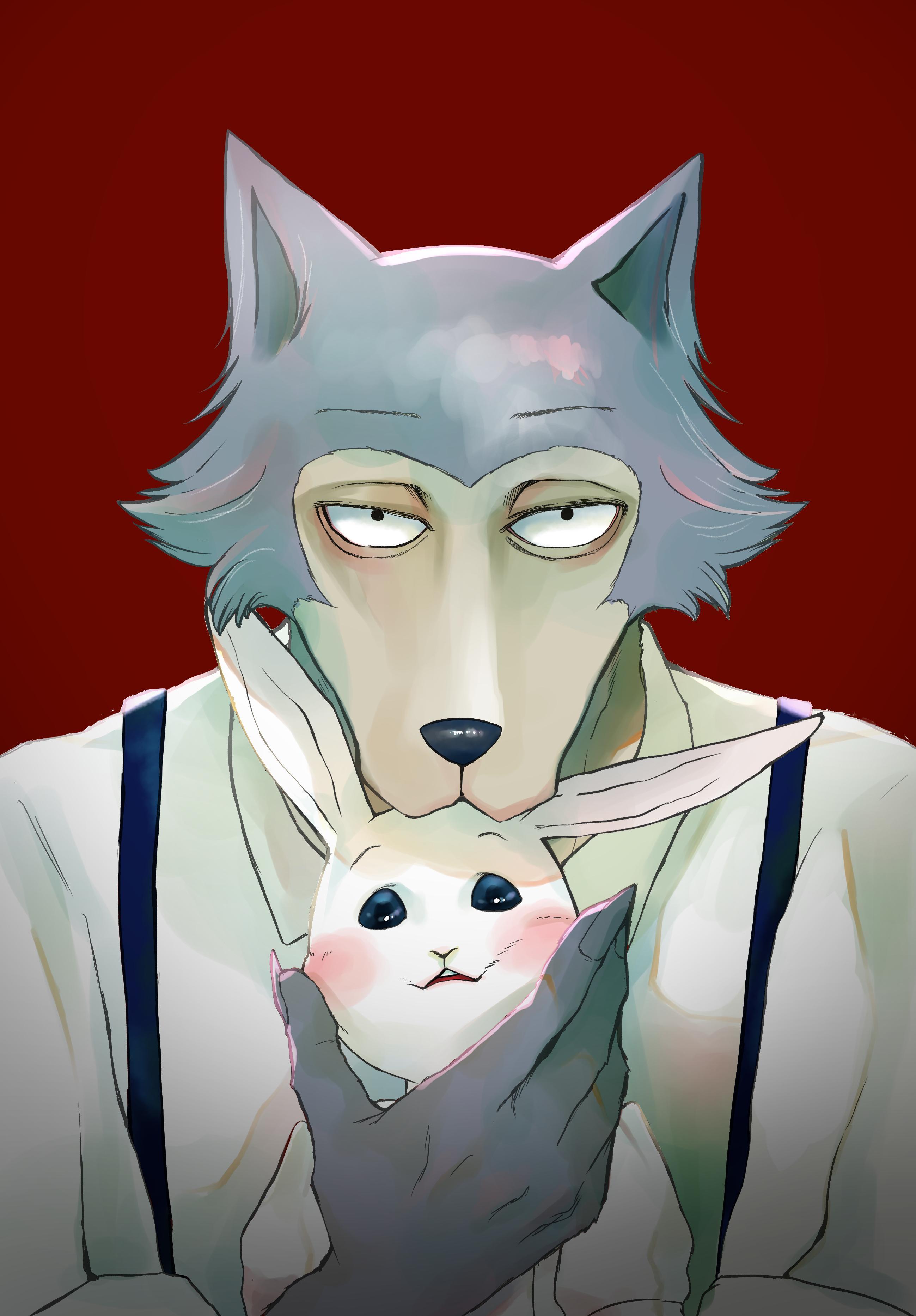 Beastars Wallpapers ~ Beastars Pantalla | wallbazar