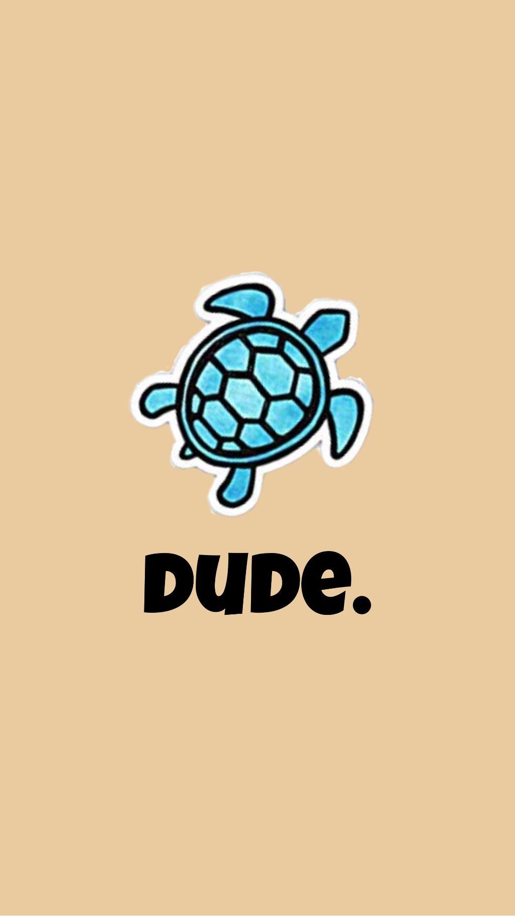 wallpaper turtle dude useit vsco