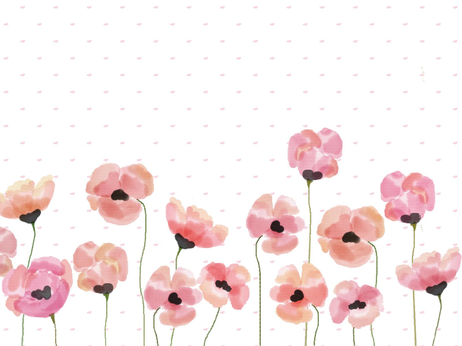 Pink watercolour poppy desktop wallpaper