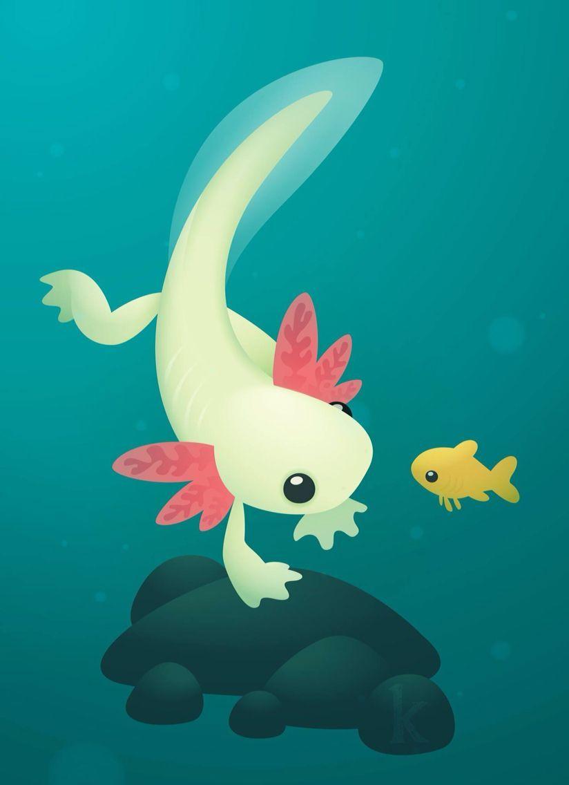Axolotl Wallpaper. Axolotl, Cute art, Fish illustration