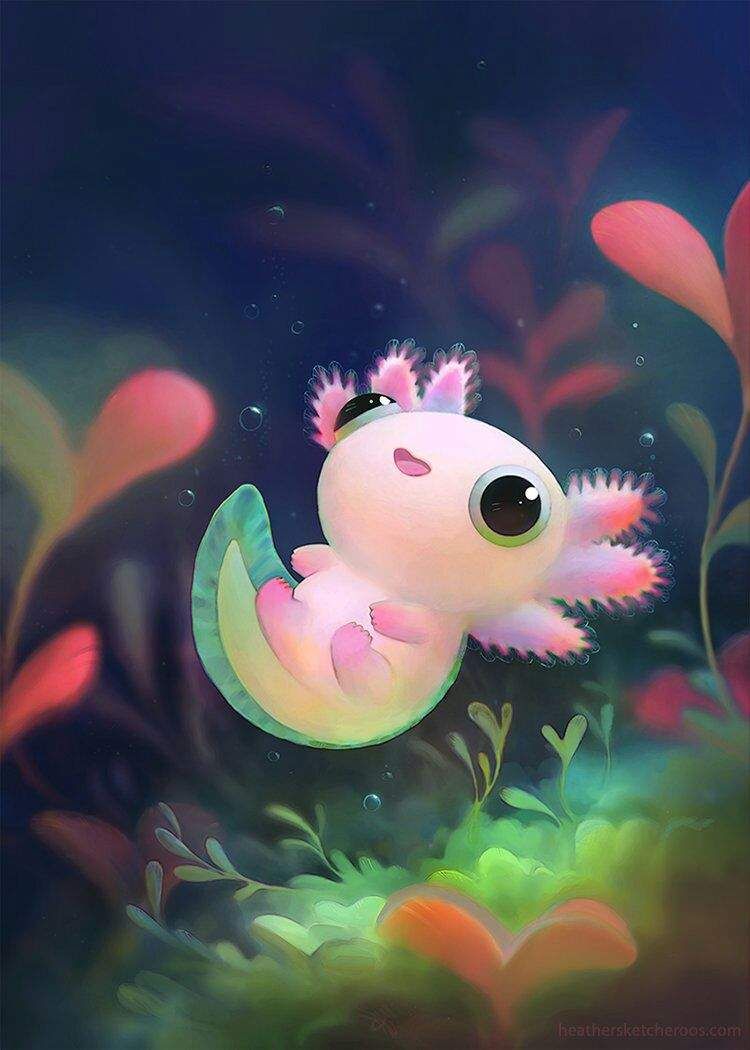 Axolotl Phone Wallpapers - Wallpaper Cave