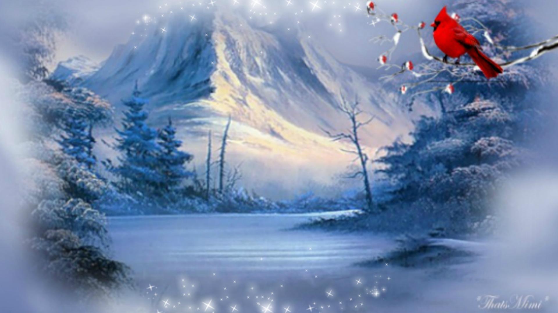 Winter Cardinal Landscape * free desktop background