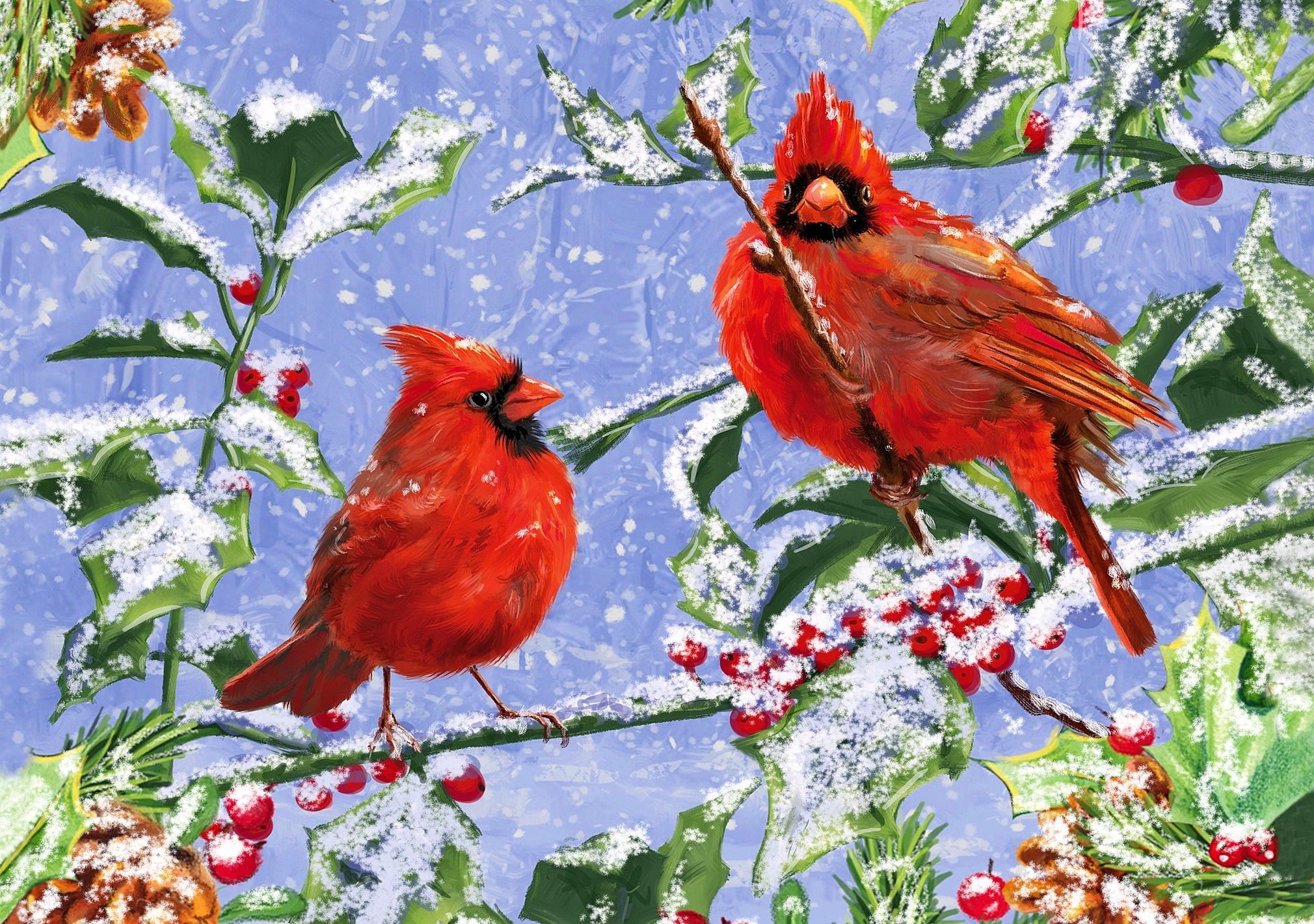 Download 2020x1420 Cardinal winter wallpaper