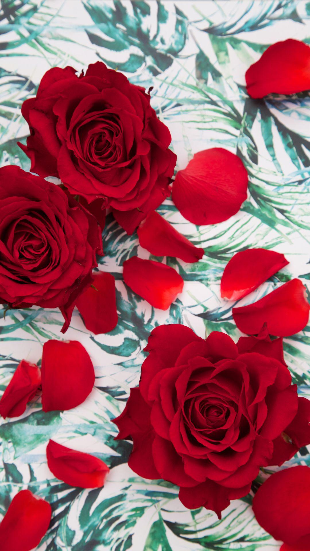 Free Winter Floral Phone Wallpaper • A Winter Treat