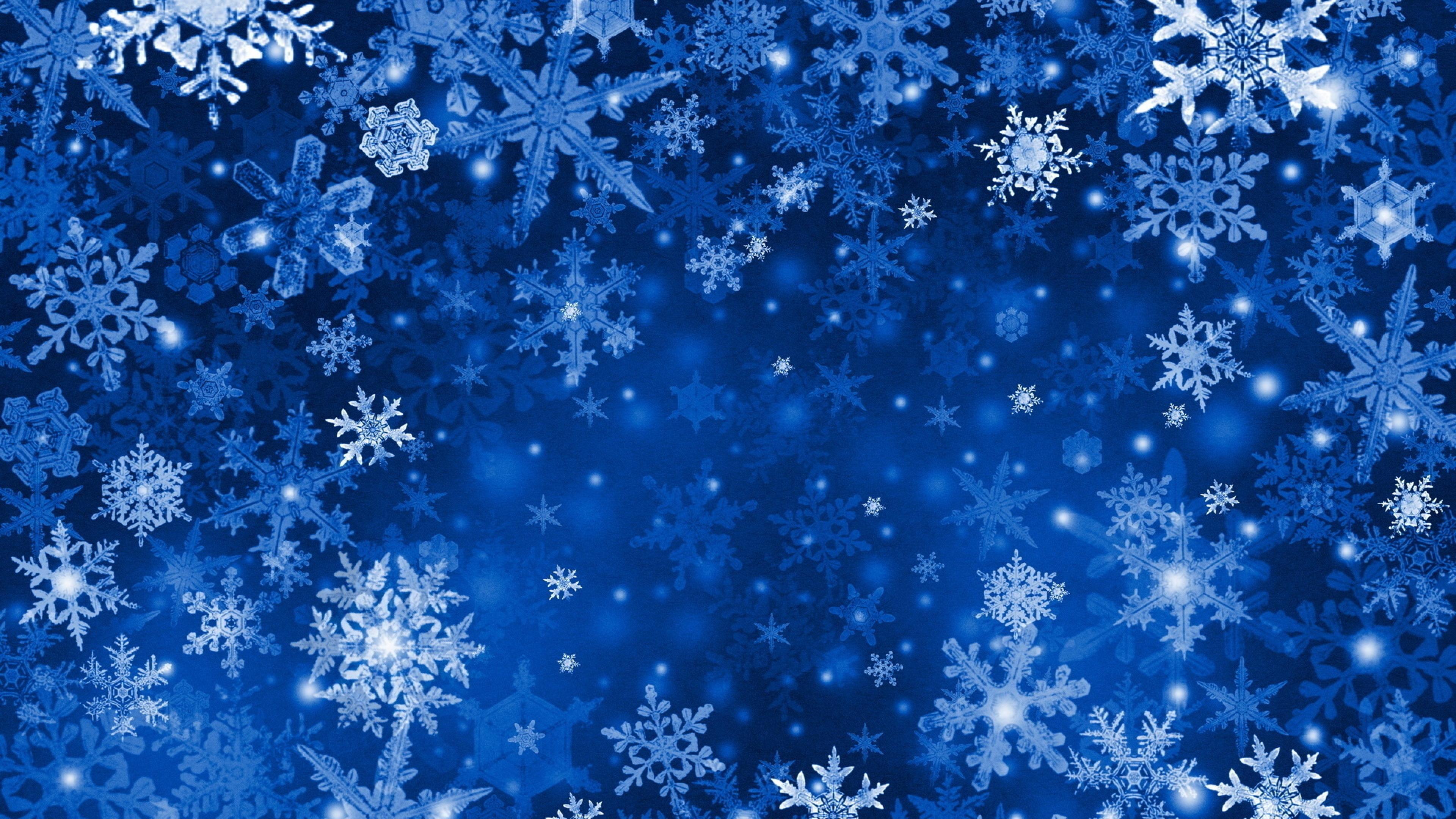 Winter, Floral Winter Background