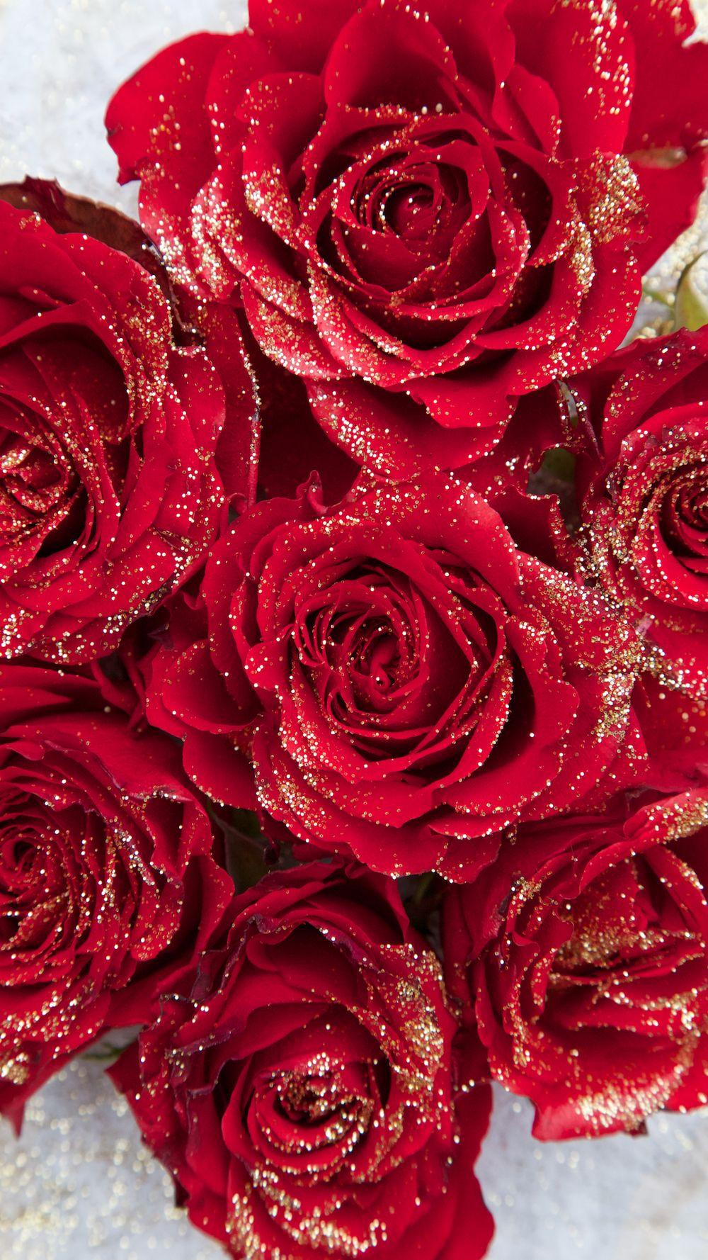 Free Winter Floral Phone Wallpaper • A Winter Treat. Rosas vermelhas, Rosas, Desenho unha