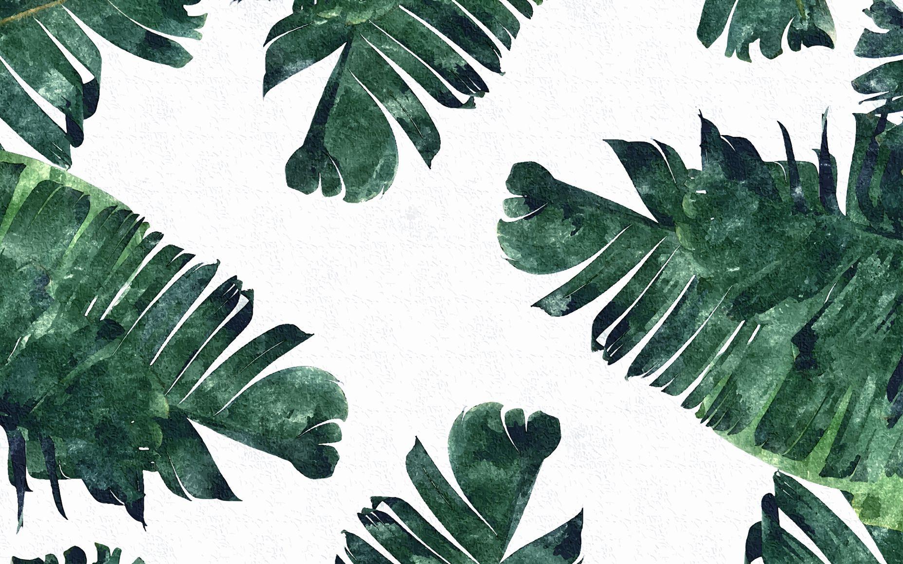 Free download 50 Tropical Leaves Desktop Wallpaper Download