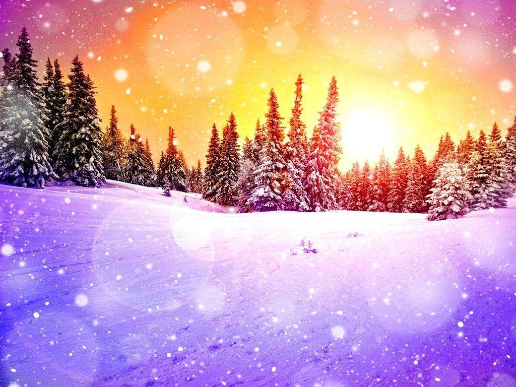 Colorful Winter Wallpaper Free Colorful Winter Background