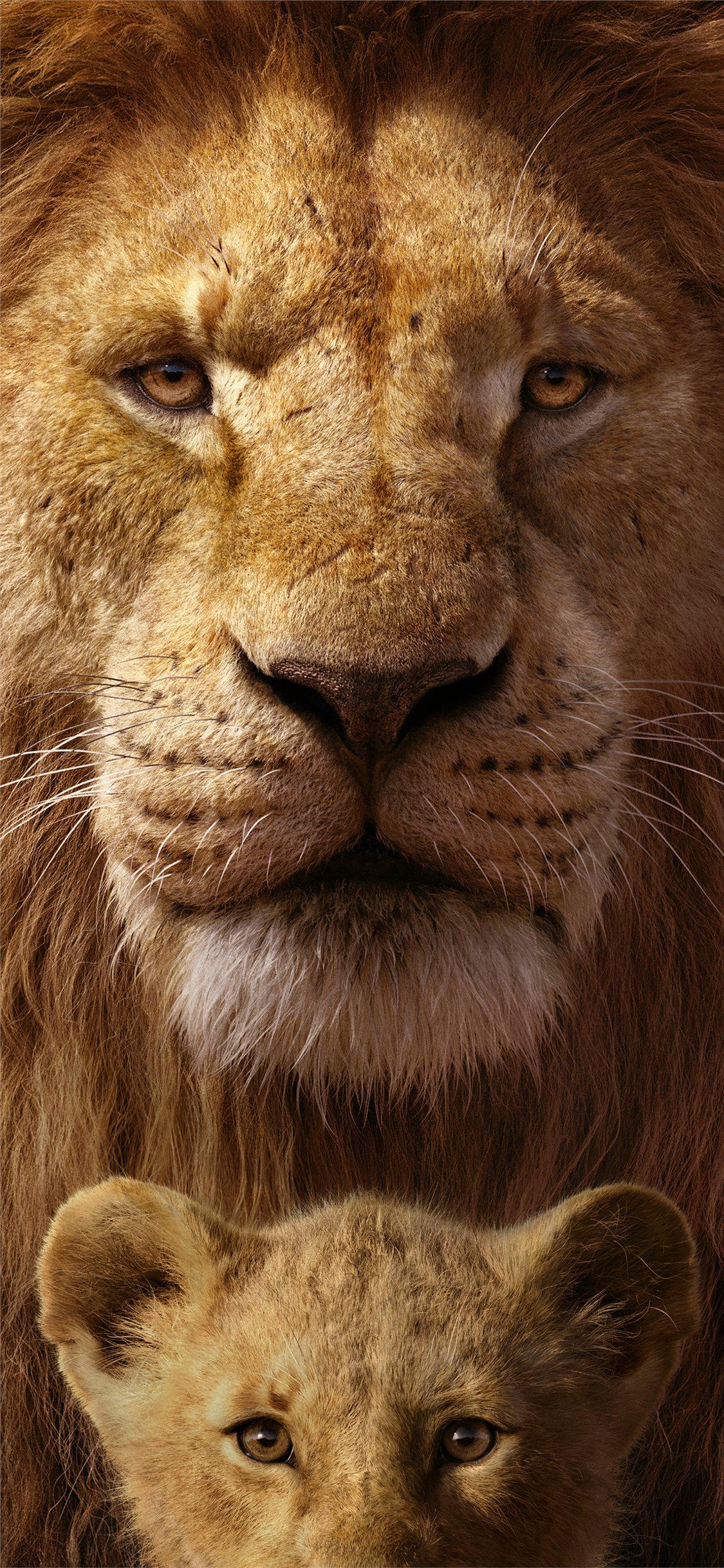 the lion king 8k iPhone 11 Wallpaper Free Download