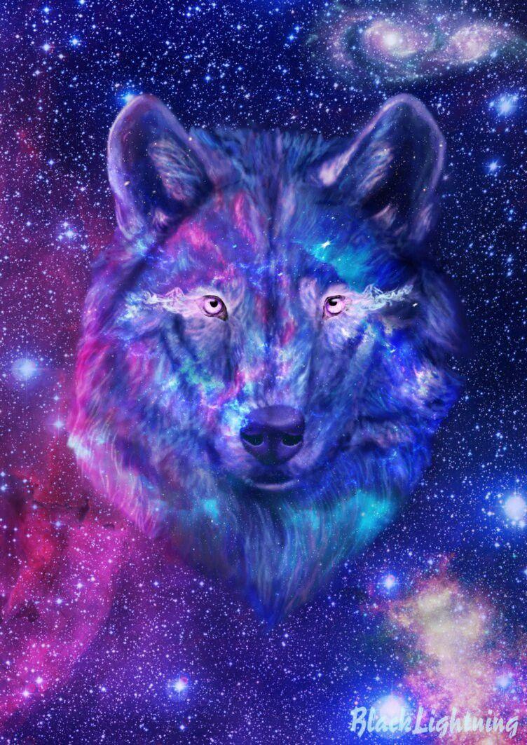 Look everywhere! A wolf lives in everything !!!!!!. Galaxy wolf
