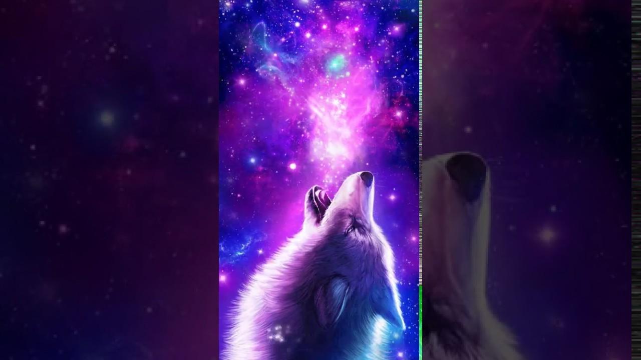 Galaxy Wolf Live Wallpaper