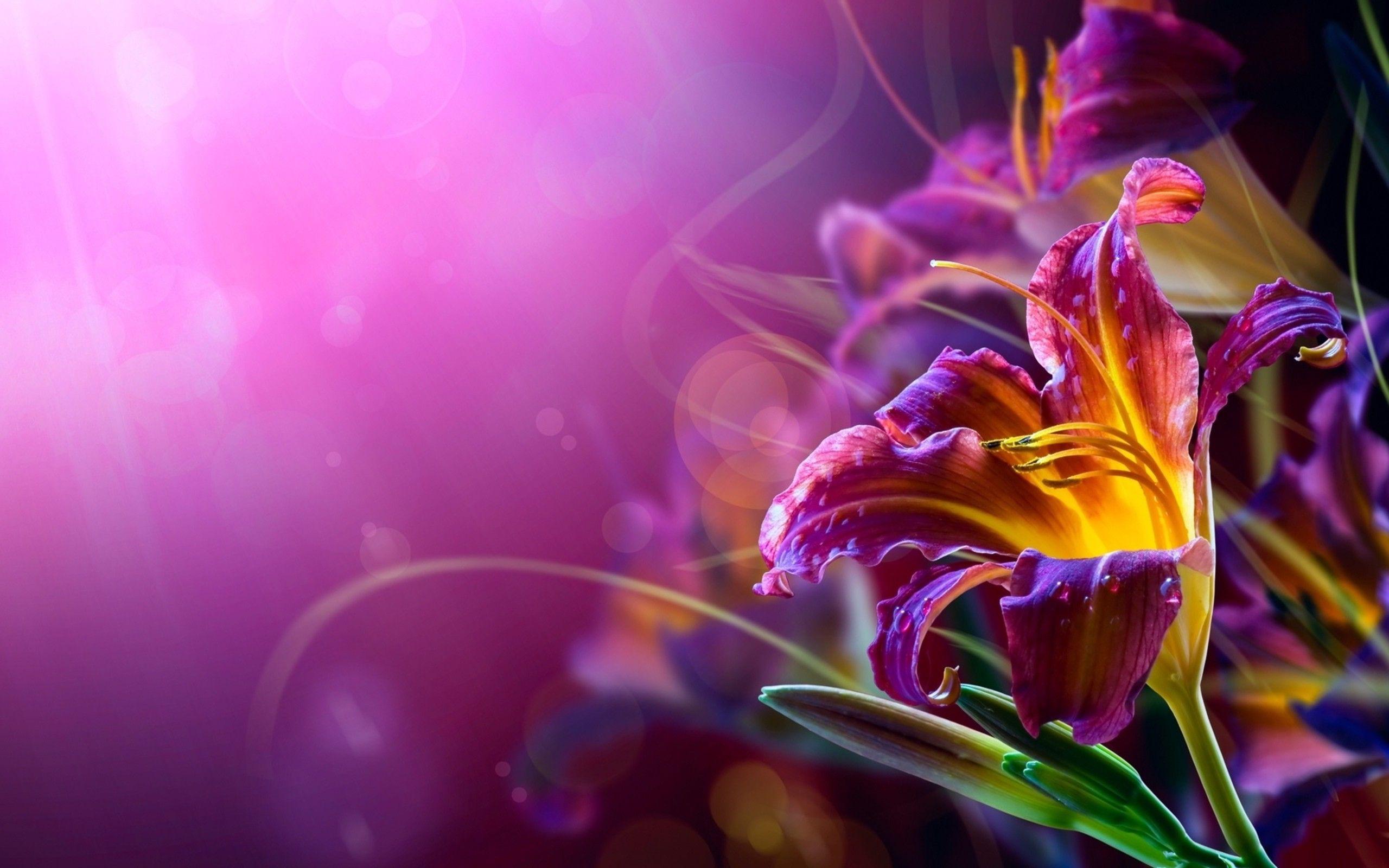 Abstract Flower Wallpaper Free Abstract Flower