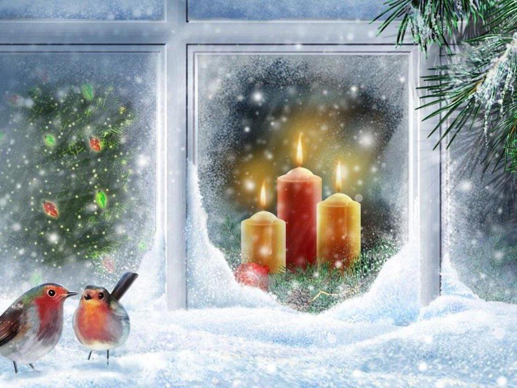 Robin at Christmas Window Wallpaper Christmas Scree