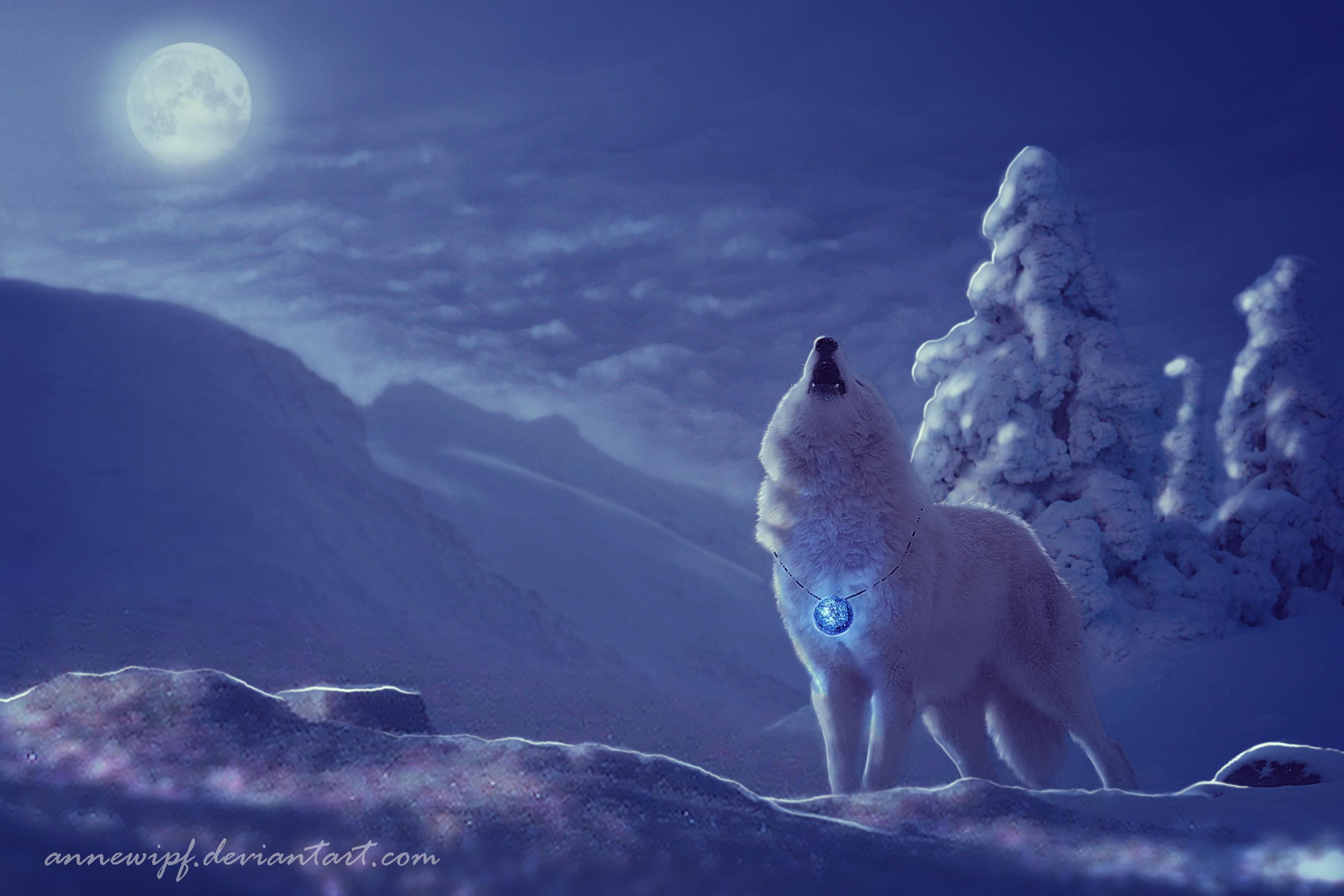 Wolf on Full Moon Winter Night HD Wallpaper. Background