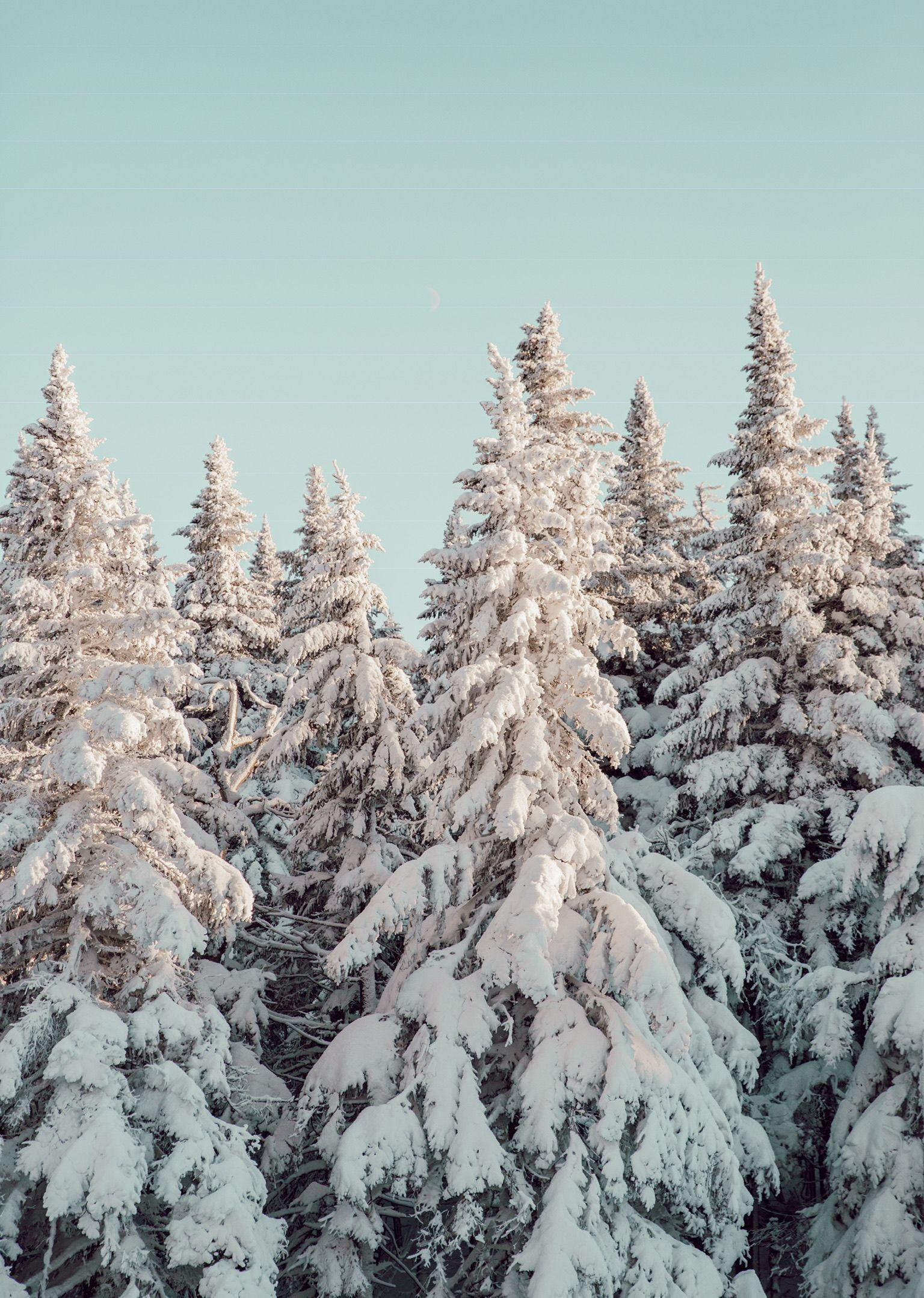 Photo via. Christmas aesthetic, Winter wonderland