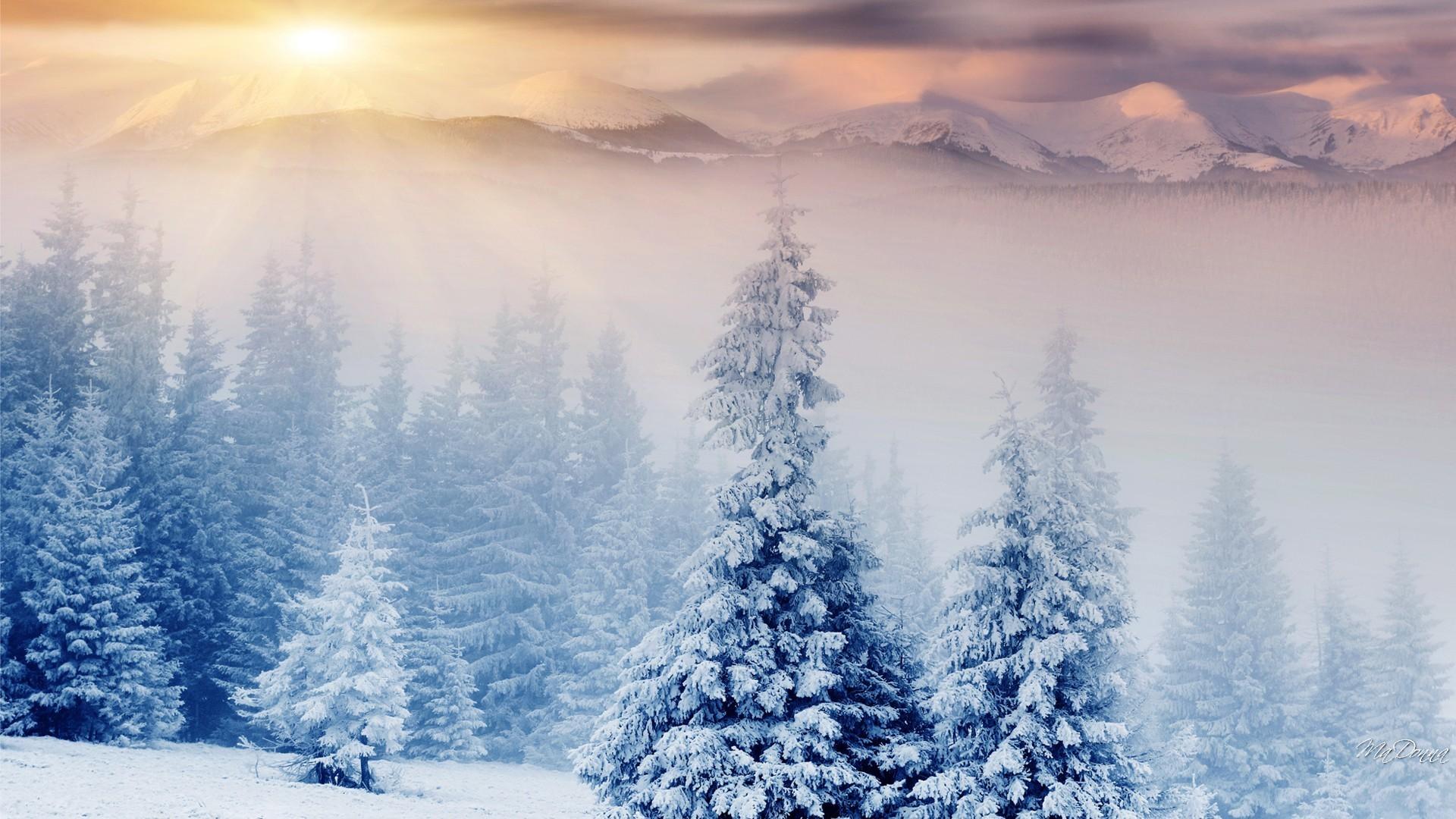 Winter Wonderland Desktop Background