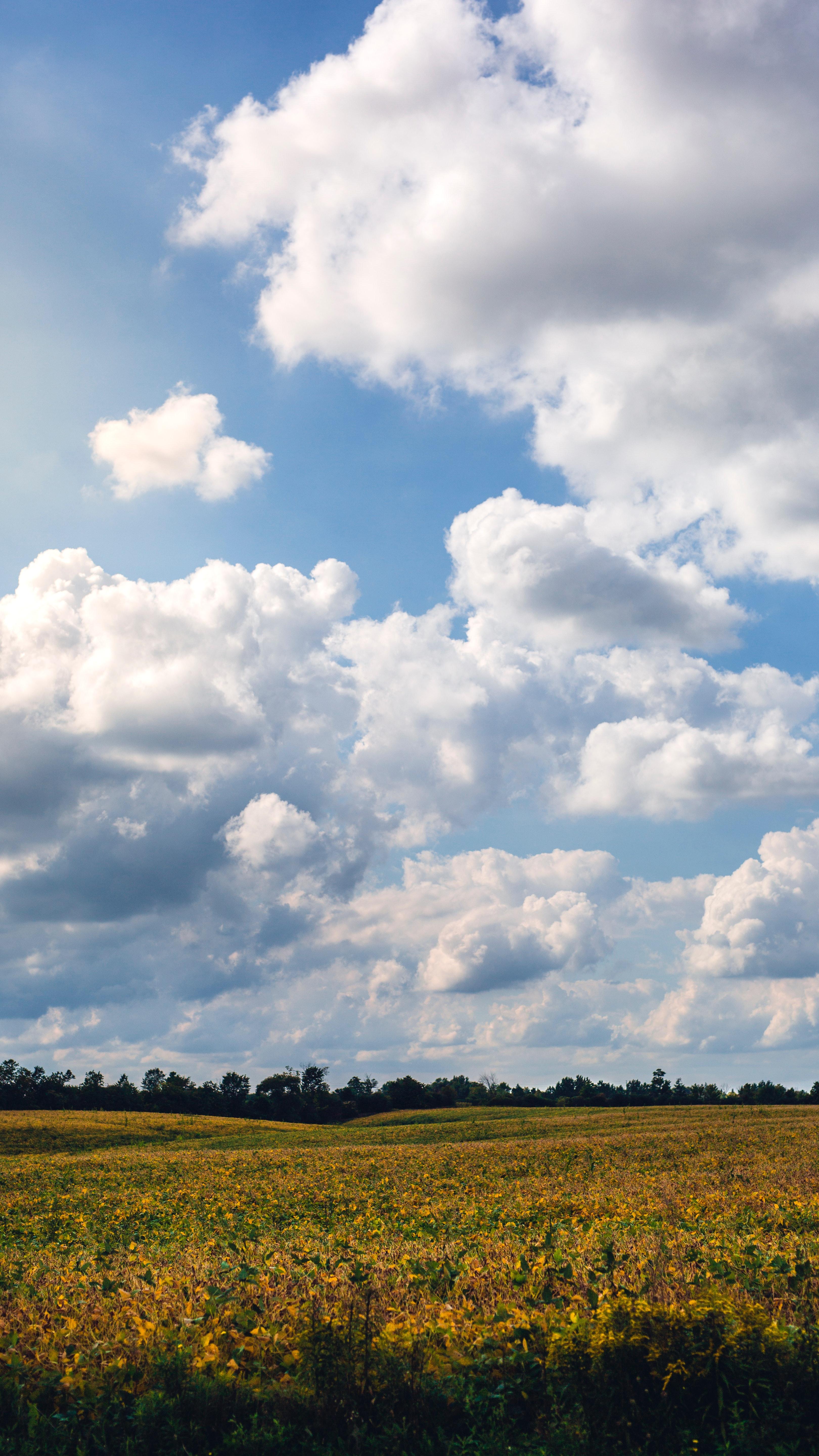 Free of clouds, farm, phone wallpaper