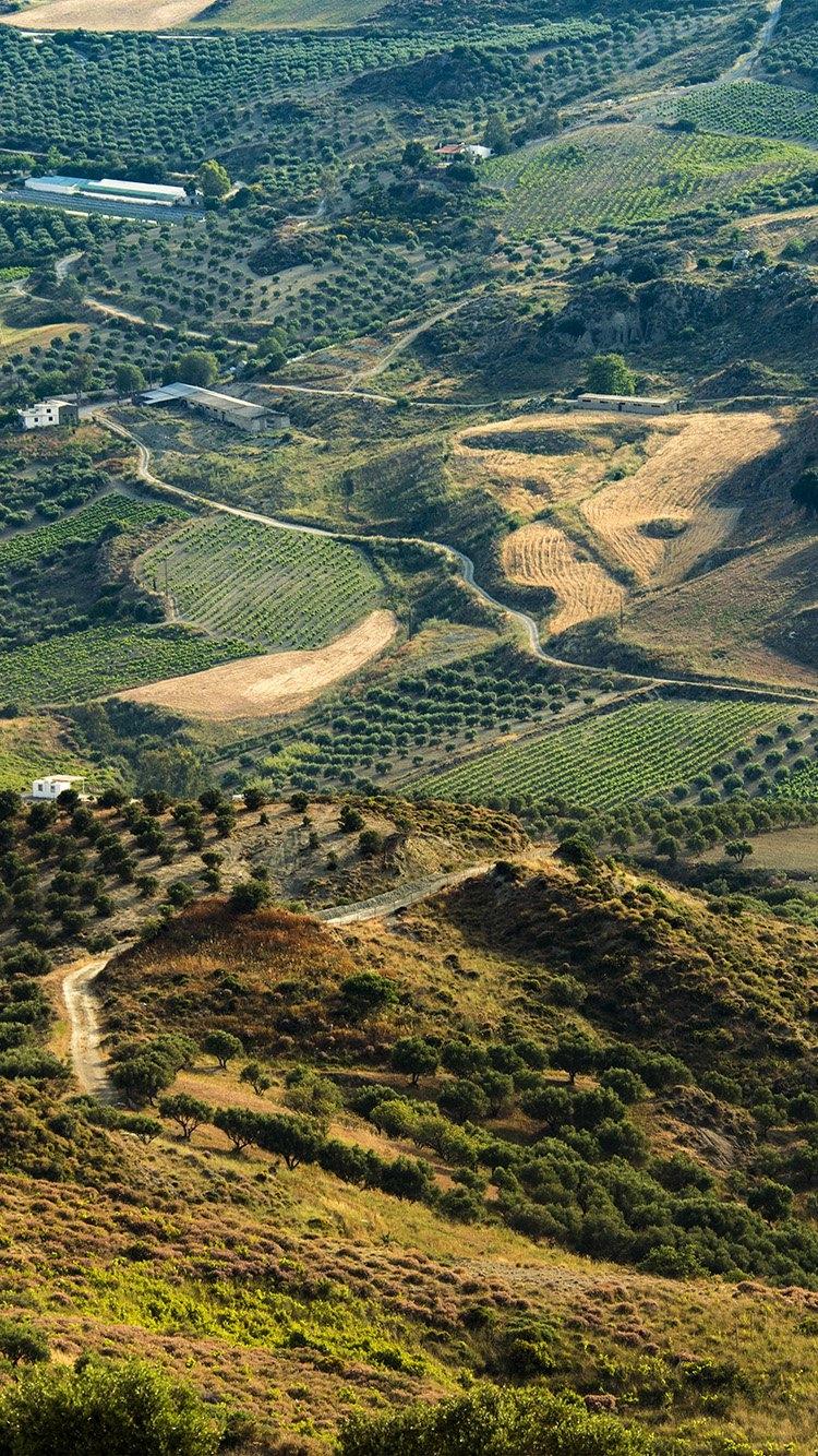 Land Green Farm Nature Love Free Download Peizaji Wallpaper