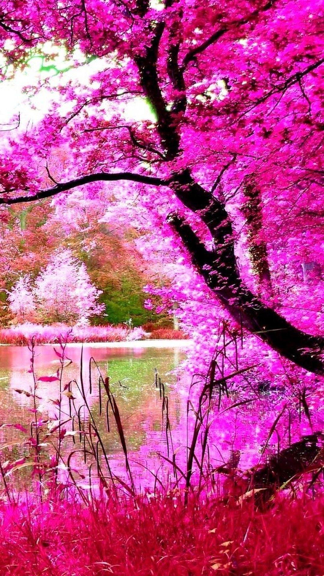 Pink Forest Android Wallpapers - Wallpaper Cave