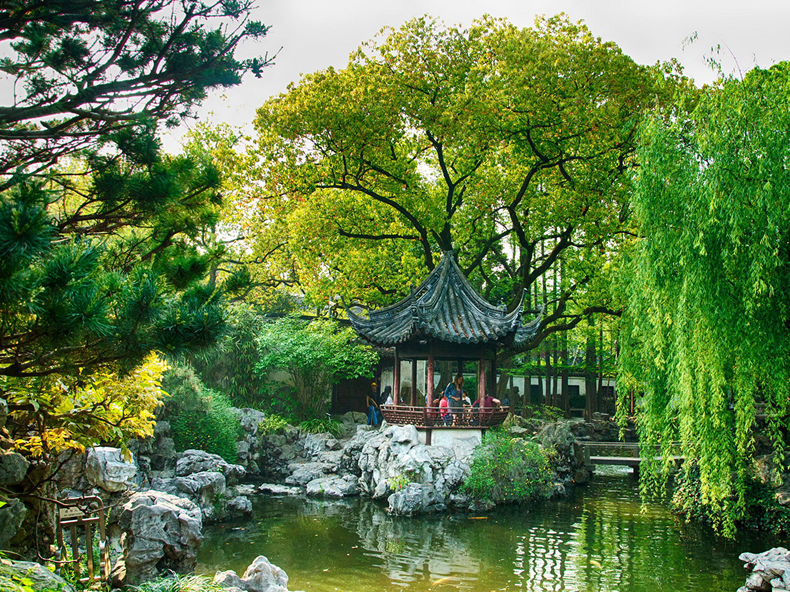 Wallpaper Shanghai China Nature Pond Gardens Trees 1600x1200