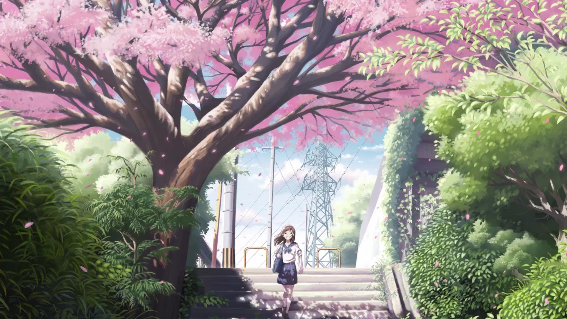 Anime Girl Relaxing Sakura Trees Live Wallpaper Free