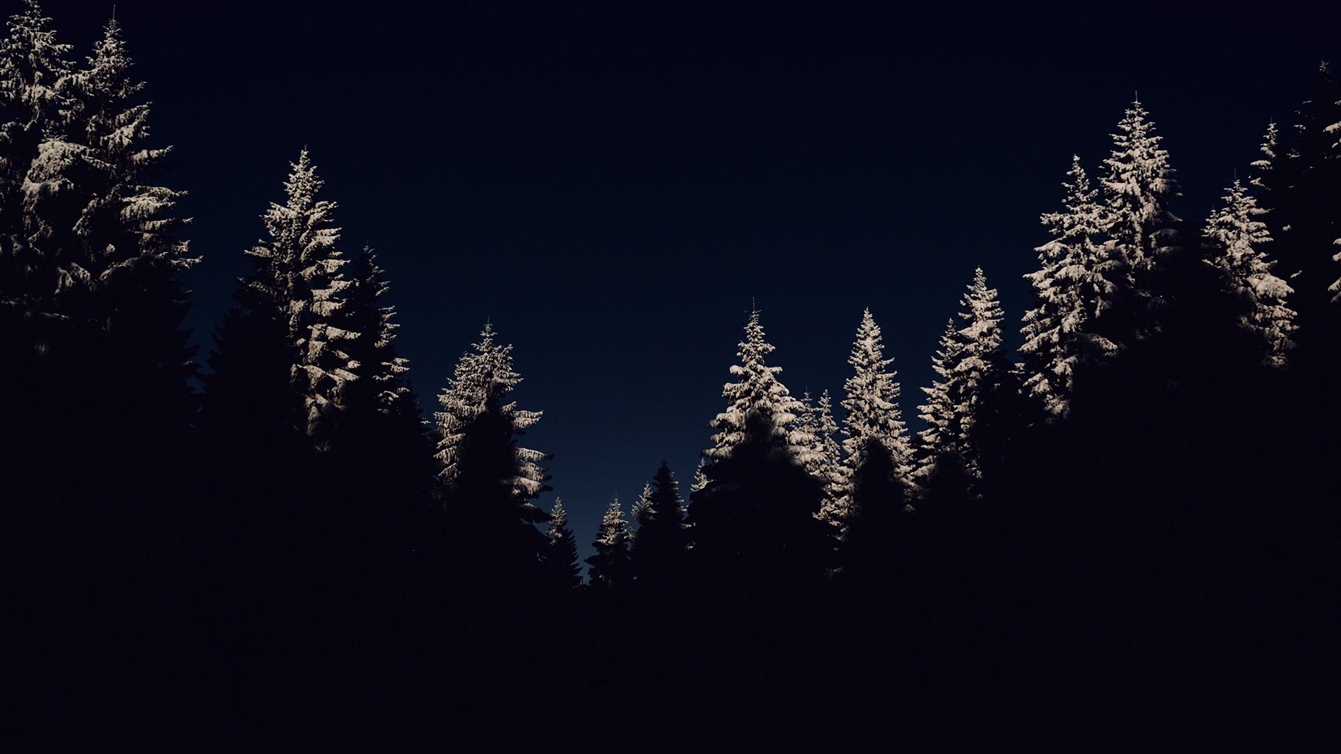 Wood Winter Night Mountain Dark Wallpaper