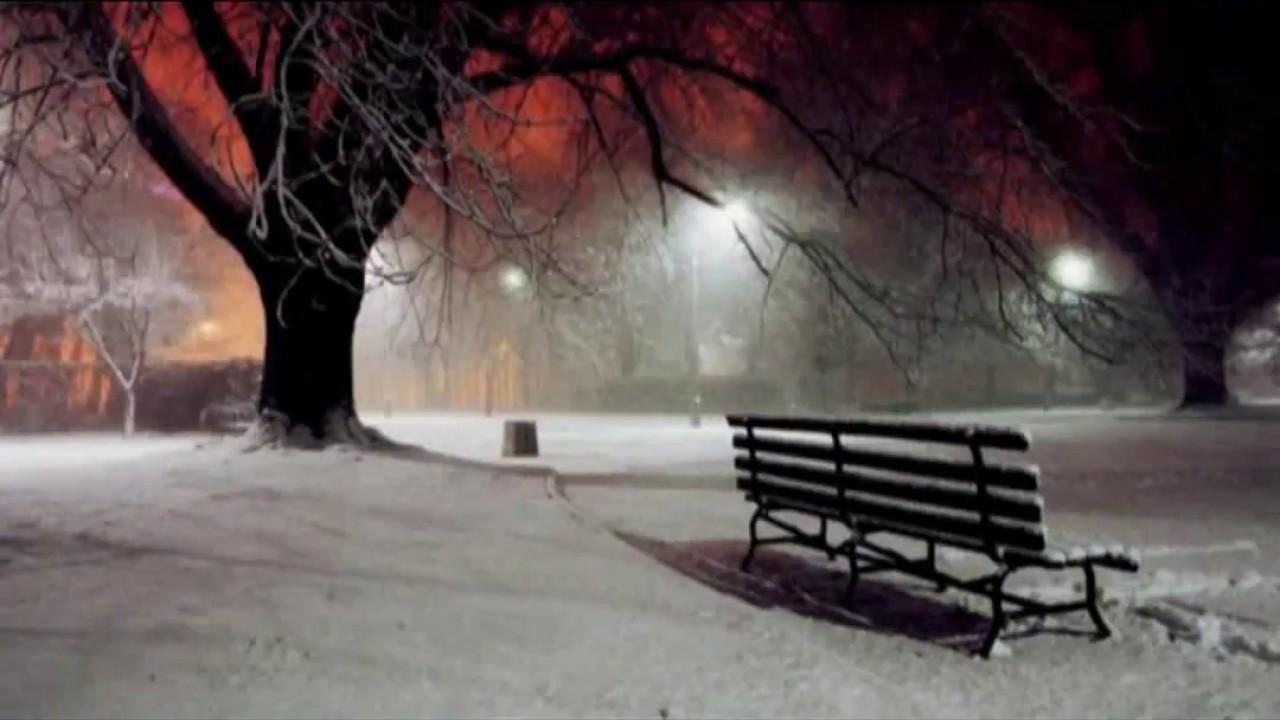 Winter Night HD Wallpaper Image