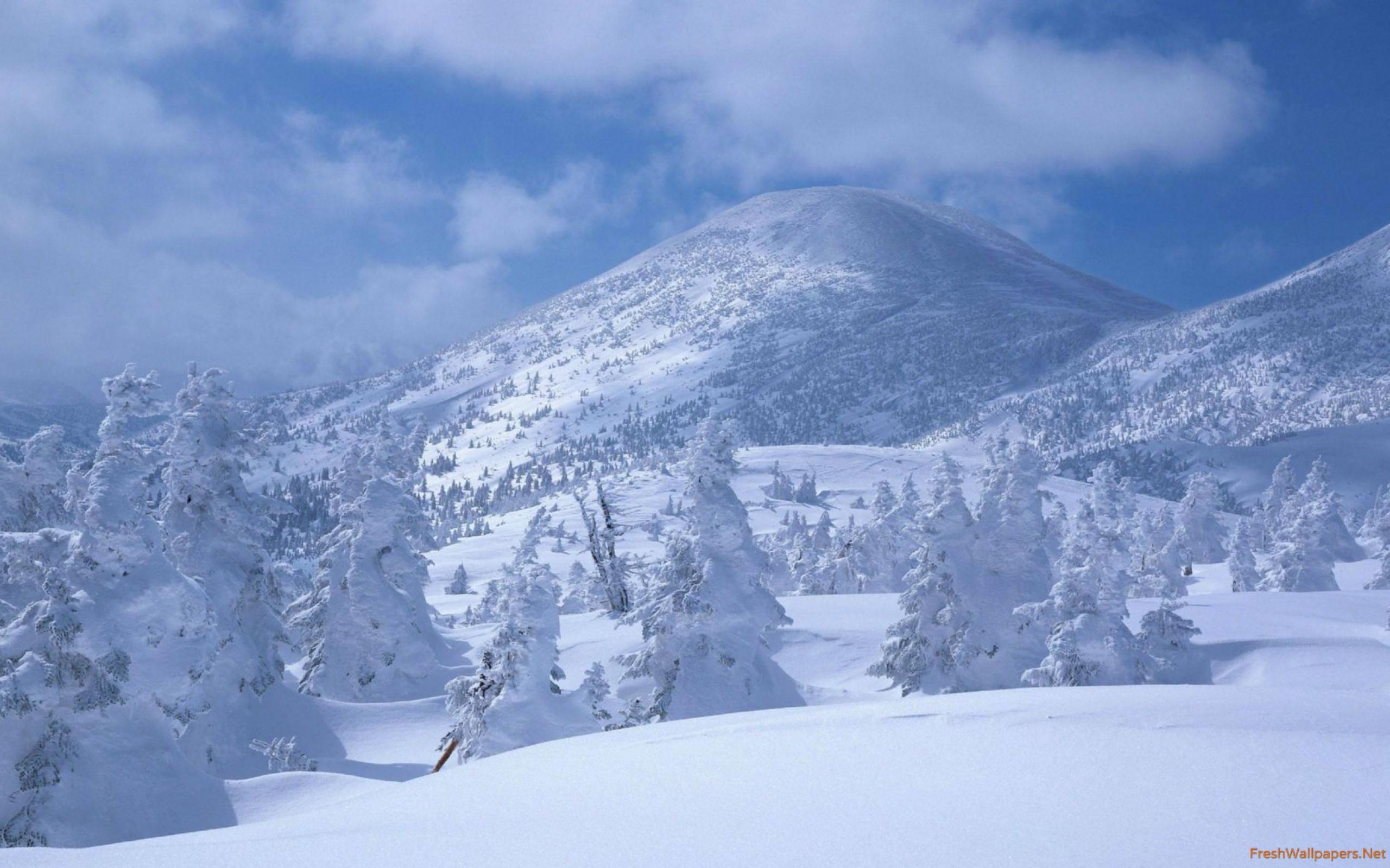 White alpine landscape wallpaper