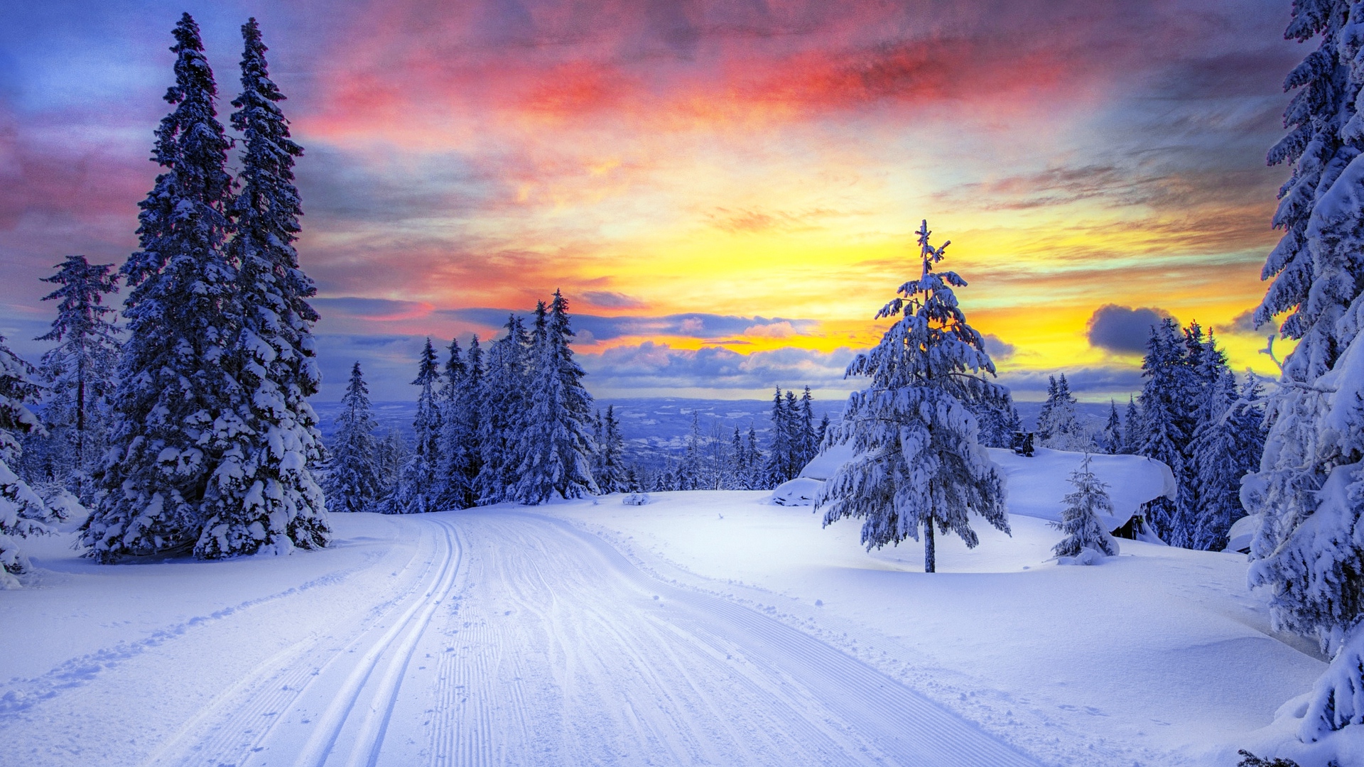 Download wallpaper 1920x1080 norway, winter, forest, snow